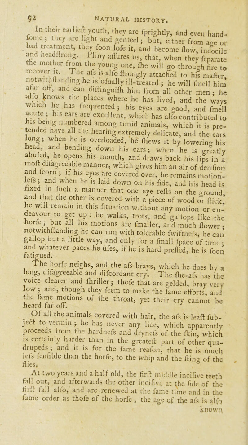 In their earlieft youth they are fprightly, and even hand- fomc ; they arc light and genteel; but, either from age or hd'\ foment, they foon lofe it, and become flow, indocile arm headftrong. I liny aflures us, that, when they fenarate the mother from the young one, fhe will go through lire to a cover it. The afs is alfo ftrongly attached to his matter, not with {handing he is ufually ill-treated ; he will fmell him a ar oft, and can diftmguifh him from all other men ; he alfo knows the places where he has lived, and the ways which he has frequented ; his eyes are good, and fmell acute ; his ears are excellent, which has alfo contributed to his being numbered among timid animals, which it is pre- tended have all the hearing extremely delicate, and the ears longj when he is overloaded, he (hews it by lowering his head, and bending down his ears; when he is greatly abufed he opens his mouth, and draws back his lips in a molt difagreeable manner, which gives him an air of derilion ana Icorn ; if his eyes hre covered over, he remains motion- lefs; and when he is laid down on his fide, and his head is fixed in fuch a manner that one eye refts on the ground, and that the other is covered with a piece of wood or flick he will remain in this fituation without any motion or en- deavour to get up : he walks, trots, and gallops like the horfe; but all his motions are fmaller, and much flower * notwithftanding he can run with tolerable fwiftnefs, he can gallop but a little way, and only for a fmall fpace of time • and whatever paces he ufes, if he is hard preffed, he is foon fatigued. The horfe neighs, and the afs brays, which he does by a long, difagreeable and difeordant cry. The fhe-afs has the voice clearer and fliriller; thofe that are gelded, bray very low 5 and, though they feem to make the lime efforts, and the fame motions ot the throat, yet their cry cannot be heard far off. J Of all the animals covered with hair, the afs is leaf! fub- jeef to vermin ;• he has never any lice, which apparently proceeds from the hardnefs and drynels of the fkin, which is certainly harder than in the greateft part of other qua- drupeds ; and it is for the fame reafon, that he is much Jef.b fcnfible than the horfe, to the whip and the ttino- of the flies, & At two years and a half old, the fir ft middle incifive teeth fall out, and afterwards the other incifive at the fide of the firff fall alfo, and are renewed at the lame time and in the fame order as thofe of the horfe; the age of the afs is alfo