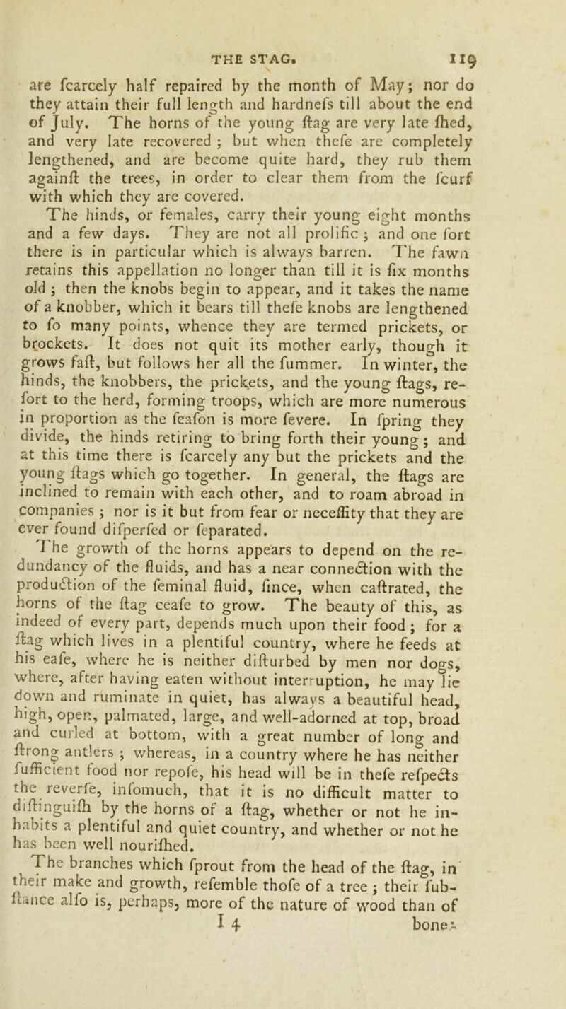 are fcarcely half repaired by the month of May; nor do they attain their full length and hardnefs till about the end of July. The horns of the young ftag are very late fhed, and very late recovered ; but when thefe are completely lengthened, and are become quite hard, they rub them againft the trees, in order to clear them from the fcurf with which they are covered. The hinds, or females, carry their young eight months and a few days. They are not all prolific ; and one fort there is in particular which is always barren. The fawn retains this appellation no longer than till it is fix months old ; then the knobs begin to appear, and it takes the name of a knobber, which it bears till thefe knobs are lengthened to fo many points, whence they are termed prickets, or brockets. It does not quit its mother early, though it grows faff, but follows her all the fummer. In winter, the hinds, the knobbers, the prickets, and the young flags, re- fort to the herd, forming troops, which are more numerous in proportion as the feafon is more fevere. In fpring they divide, the hinds retiring to bring forth their young; and at this time there is fcarcely any but the prickets and the young flags which go together. In general, the flags are inclined to remain with each other, and to roam abroad in companies ; nor is it but from fear or neceflity that they are ever found difperfed or feparated. The growth of the horns appears to depend on the re- dundancy of the fluids, and has a near connection with the produdtion of the feminal fluid, lince, when caftrated, the horns of the ftag ceafe to grow. The beauty of this, as indeed of every part, depends much upon their food ; for a ftag which lives in a plentiful country, where he feeds at his eafe, where he is neither difturbed by men nor dogs, where, after having eaten without interruption, he may lie down and ruminate in quiet, has always a beautiful head, high, open, palmated, large, and well-adorned at top, broad and curled at bottom, with a great number of lono- and ftrong antlers ; whereas, in a country where he has neither fufficient lood nor repofe, his head will be in thefe refpe&s the reverfe, inlomuch, that it is no difficult matter to diftinguifh by the horns of a ftag, whether or not he in- habits a plentiful and quiet country, and whether or not he has been well nourifhed. The branches which fprout from the head of the flag, in f heir make and growth, refemble thofe of a tree ; their fub- 1 L uice alfo is, perhaps, more of the nature of wood than of I 4 bonea