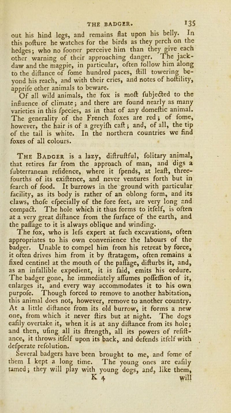 out his hind legs, and remains flat upon his belly. In this pofture he watches for the birds as they perch on the hedges; who no fooner perceive him than they give each other warning of their approaching danger. The jack- daw and the magpie, in particular, often follow him along to the diftance of fome hundred paces, ftill towering be- yond his reach, and with their cries, and notes of hoftility, apprife other animals to beware. Of all wild animals, the fox is moft fubje&ed to the influence of climate; and there are found nearly as many varieties in this fpecies, as in that of any domeftic animal. The generality of the French foxes are red; of fome, however, the hair is of a greyifh caft; and, of all, the tip of the tail is white. In the northern countries we find foxes of all colours. The Badger is a lazy, diftruftful, folitary animal, that retires far from the approach of man, and digs a fubterranean refidence, where it fpends, at leaft, three- fourths of its exiftence, and never ventures forth but in fearch of food. It burrows in the ground with particular facility, as its body is rather of an oblong form, and its claws, thofe efpecially of the fore feet, are very long and compact. The hole which it thus forms to itfelf, is often at a very great diftance from the furface of the earth, and the paflage to it is always oblique and winding. The fox, who is lefs expert at fuch excavations, often appropriates to his own convenience the labours of the badger. Unable to compel him from his retreat by force, it often drives him from it by ftratagem, often remains a fixed centinel at the mouth of the paflage, difturbs it, and, as an infallible expedient, it is faid, emits his ordure. The badger gone, he immediately aflumes pofleflion of it, enlarges it, and every way accommodates it to his own purpofe. Though forced to remove to another habitation, this animal does not, however, remove to another country. At a little diftance from its old burrow, it forms a new one, from which it never ftirs but at night. The dogs eafily overtake it, when it is at any diftance from its hole; and then, ufing all its ftrength, all its powers of reflft- ance, it throws itfelf upon its back, and defends itfelf with defperate refolution. Several badgers have been brought to me, and fome of them I kept a long time. The young ones are eafily tamed; they will play with young dogs, and, like them, K 4 will