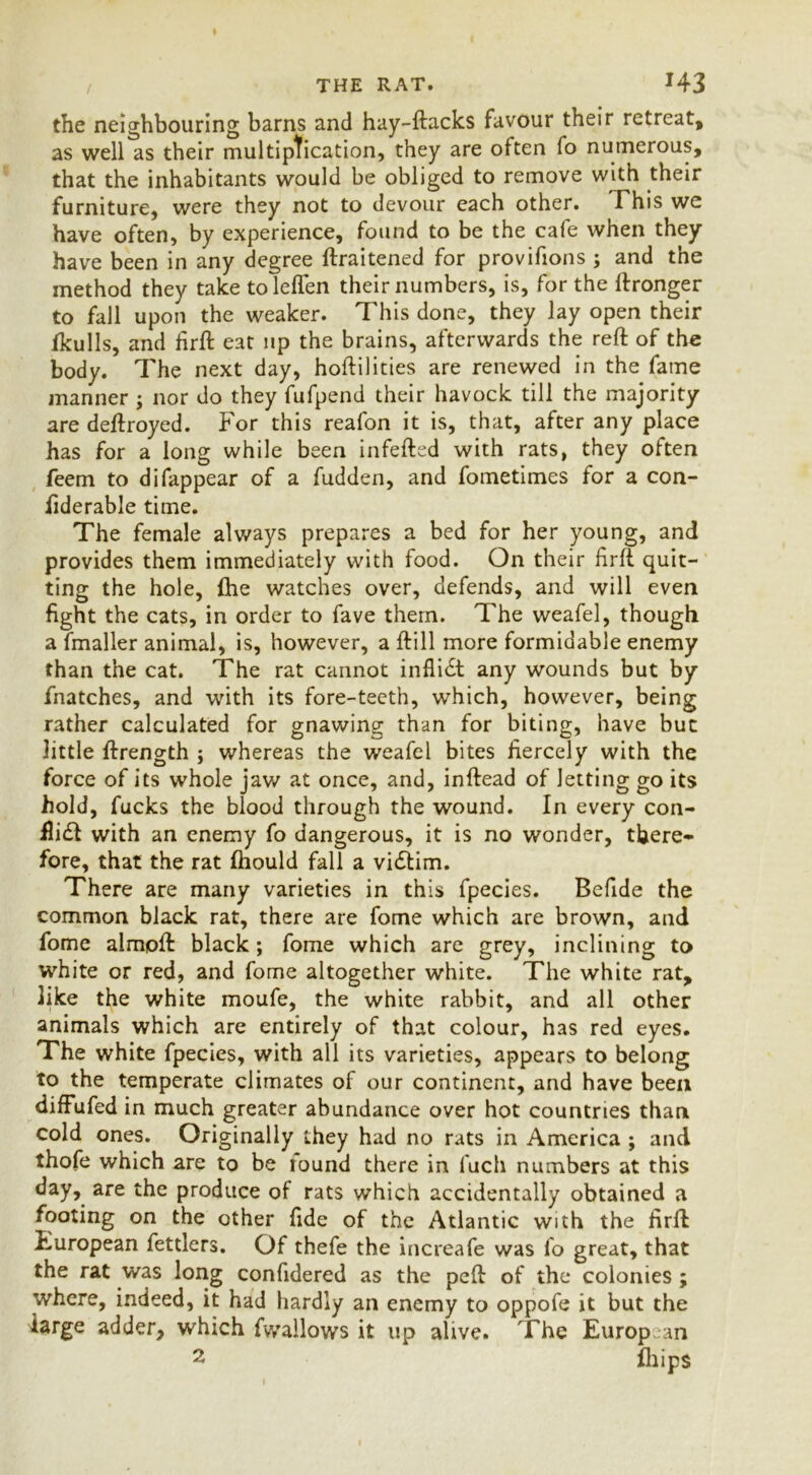 the neighbouring barns and hay-flacks favour their retreat, as well as their multiplication, they are often fo numerous, that the inhabitants would be obliged to remove with their furniture, were they not to devour each other. This we have often, by experience, found to be the cafe when they have been in any degree ftraitened for provifions ; and the method they take toleflen their numbers, is, for the ftronger to fall upon the weaker. This done, they lay open their fkulls, and firft eat up the brains, afterwards the reft of the body. The next day, hoftilities are renewed in the fame manner ; nor do they fufpend their havock till the majority are deftroyed. For this reafon it is, that, after any place has for a long while been infefted with rats, they often feem to difappear of a fudden, and fometimes for a con- flderable time. The female always prepares a bed for her young, and provides them immediately with food. On their firft quit- ting the hole, fhe watches over, defends, and will even fight the cats, in order to fave them. The weafel, though a fmaller animal, is, however, a ftill more formidable enemy than the cat. The rat cannot infliCt any wounds but by fnatches, and with its fore-teeth, which, however, being rather calculated for gnawing than for biting, have but little ftrength } whereas the weafel bites fiercely with the force of its whole jaw at once, and, inftead of Jetting go its hold, fucks the blood through the wound. In every con- flict with an enemy fo dangerous, it is no wonder, there- fore, that the rat ftiould fall a viCtim. There are many varieties in this fpecies. Befide the common black rat, there are fome which are brown, and fome almpft: black; fome which are grey, inclining to white or red, and fome altogether white. The white rat, like the white moufe, the white rabbit, and all other animals which are entirely of that colour, has red eyes. The white fpecies, with all its varieties, appears to belong to the temperate climates of our continent, and have been diffufed in much greater abundance over hot countries than cold ones. Originally they had no rats in America ; and thofe which are to be round there in fuch numbers at this day, are the produce of rats which accidentally obtained a footing on the other fide of the Atlantic with the firft European fettlers. Of thefe the increafe was fo great, that the rat was long confidered as the peft of the colonies ; where, indeed, it had hardly an enemy to oppofe it but the large adder, which fwallows it up alive. The Europ an 2 fliips
