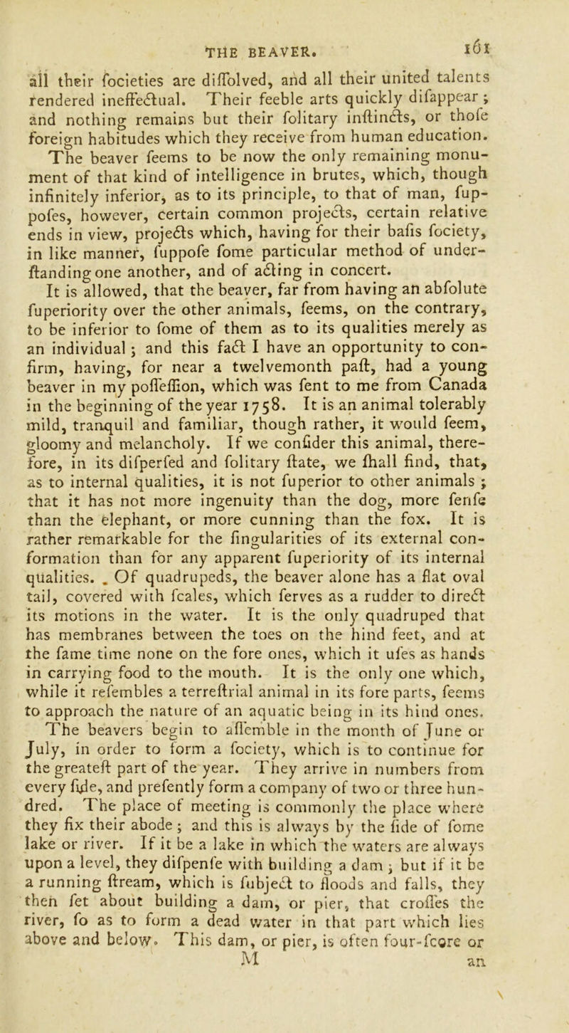 all their focieties are diffolved, and all their united talents rendered ineffectual. Their feeble arts quickly difappear ; and nothing remains but their folitary inftindfs, or thole foreign habitudes which they receive from human education. The beaver feems to be now the only remaining monu- ment of that kind of intelligence in brutes, which, though infinitely inferior, as to its principle, to that of man, fup- pofes, however, certain common projects, certain relative ends in view, projects which, having for their bafis fociety, in like manner, fuppofe fome particular method of under- ftandingone another, and of acting in concert. It is allowed, that the beaver, far from having an abfolute fuperiority over the other animals, feems, on the contrary, to be inferior to fome of them as to its qualities merely as an individual; and this fad I have an opportunity to con- firm, having, for near a twelvemonth paft, had a young beaver in my poffeflion, which was fent to me from Canada in the beginning of the year 1758. It is an animal tolerably mild, tranquil and familiar, though rather, it would feem, gloomy and melancholy. If we confider this animal, there- fore, in its difperfed and folitary ftate, we fhall find, that, as to internal qualities, it is not fuperior to other animals ; that it has not more ingenuity than the dog, more fenfe than the elephant, or more cunning than the fox. It is rather remarkable for the fingularities of its external con- formation than for any apparent fuperiority of its internal qualities. . Of quadrupeds, the beaver alone has a flat oval tail, covered with fcales, which ferves as a rudder to direCI its motions in the water. It is the only quadruped that has membranes between the toes on the hind feet, and at the fame time none on the fore ones, which it ul'es as hands in carrying food to the mouth. It is the only one which, while it refembles a terreftrial animal in its fore parts, feems to approach the nature of an aquatic being in its hind ones. The beavers begin to alienable in the month of June or July, in order to form a fociety, which is to continue for the greateft part of the year. They arrive in numbers from every fide, and prefently form a company of two or three hun- dred. The place of meeting is commonly the place where they fix their abode ; and this is always by the fide of fome lake or river. If it be a lake in which the waters are always upon a level, they dilpenfe with building a dam j but if it be a running ftream, which is fubje£l to floods and falls, they then fet about building a dam, or pier, that erodes the river, fo as to form a dead water in that part which lies above and below*. T his dam, or pier, is often four-fcore or