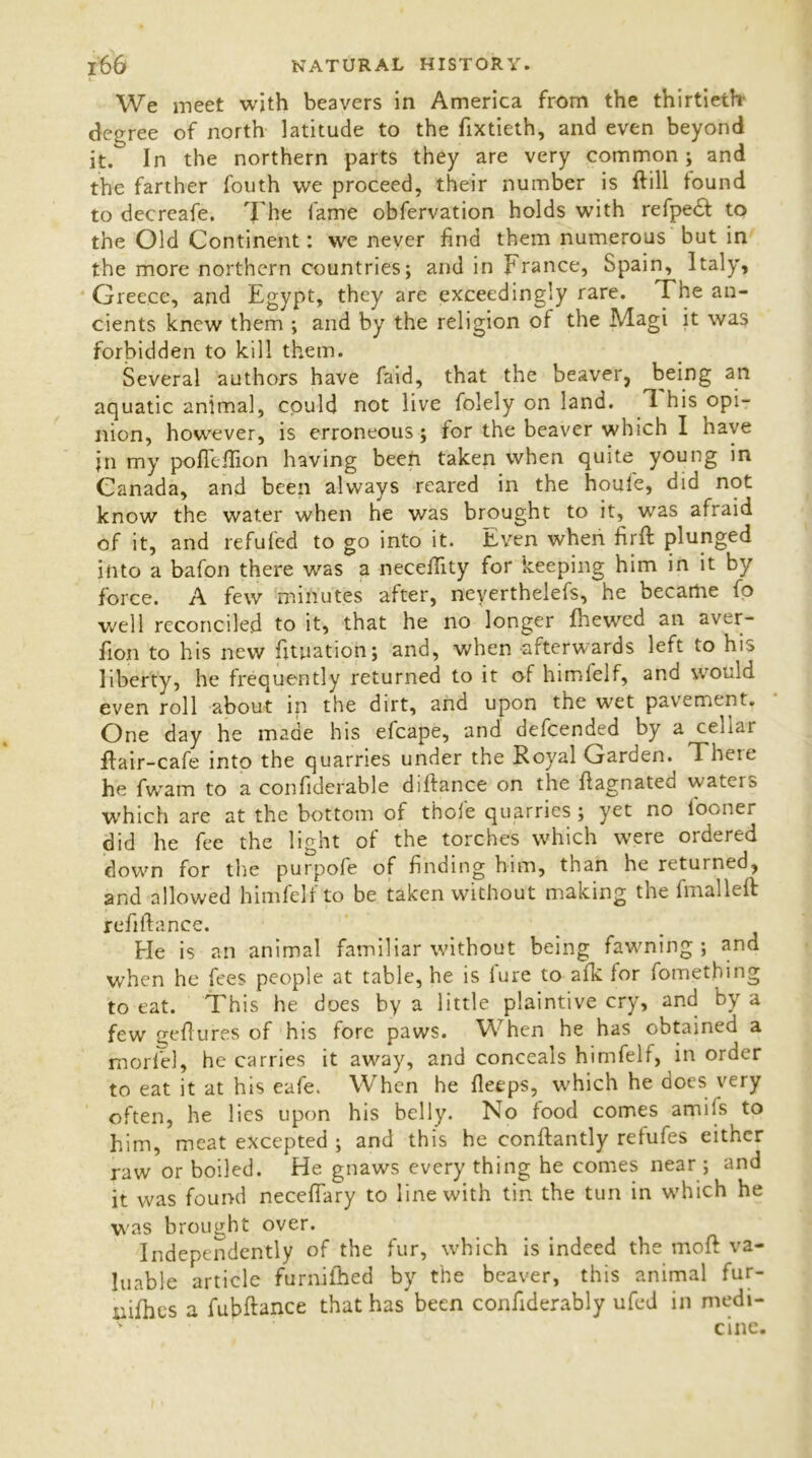 We meet with beavers in America from the thirtieth- degree of north latitude to the fixtieth, and even beyond it. In the northern parts they are very common; and the farther fouth we proceed, their number is ft ill tound to decreafe. The fame obfervation holds with refpeft to the Old Continent: we never find them numerous but in the more northern countries; and in France, Spain, Italy, Greece, and Egypt, they are exceedingly rare. The an- cients knew them ; and by the religion of the Magi it was forbidden to kill them. Several authors have faid, that the beaver, being an aquatic animal, could not live folely on land. 1 his opi- nion, however, is erroneous; for the beaver which I have jn my poflefiion having been taken when quite young in Canada, and been always reared in the houle, did not know the water when he was brought to it, was afraid of it, and refufed to go into it. Even when firft plunged into a bafon there was a necefiity for keeping him in it by force. A few minutes after, neyerthelefs, he became fo well reconciled to it, that he no longer fhewed an aver- fion to his new fituation; and, when afterwards left to his liberty, he frequently returned to it of himfelf, and would even roll about in the dirt, and upon the wet pavement. One day he made his efcape, and defcended by a cellar flair-cafe into the quarries under the Royal Garden. Thete he fwam to a confiderable diftance on the flagnated waters which are at the bottom of thofe quarries ; yet no iooner did he fee the light of the torches which were ordered down for the purpofe of finding him, than he returned, and allowed himfelf to be taken without making the final left refinance. Fie is an animal familiar without being fawning ; and when he fees people at table, he is lure to afk for fomething to eat. This he does by a little plaintive cry, and by a few geflures of his fore paws. When he has obtained a model, he carries it away, and conceals himfelf, in order to eat it at his eafe. When he fleeps, which he does very often, he lies upon his belly. No food comes amifs to him, meat excepted ; and this he conftantly refufes either raw or boiled. He gnaws every thing he comes near ; and it was found necefiary to line with tin the tun in which he was brought over. Independently of the fur, which is indeed the moll va- luable article furniihed by the beaver, this animal fur- iiifhes a fufiftance that has been confiderably ufed in medi- cine.