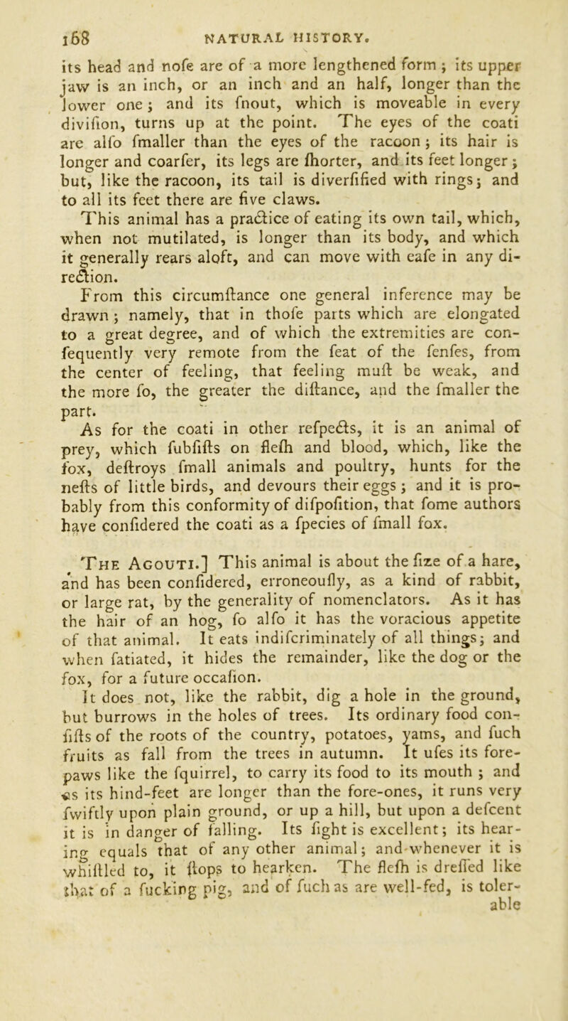 its head and nofe are of a more lengthened form ; its upper jaw is an inch, or an inch and an half, longer than the lower one; and its fnout, which is moveable in every divifion, turns up at the point. The eyes of the coati are alfo fmaller than the eyes of the racoon ; its hair is longer and coarfer, its legs are Ihorter, and its feet longer; but, like the racoon, its tail is diverfified with rings; and to all its feet there are five claws. This animal has a practice of eating its own tail, which, when not mutilated, is longer than its body, and which it generally rears aloft, and can move with cafe in any di- region. From this circumftance one general inference may be drawn; namely, that in thofe parts which are elongated to a great degree, and of which the extremities are con- fequently very remote from the feat of the fenfes, from the center of feeling, that feeling muft be weak, and the more fo, the greater the diftance, and the fmaller the part. As for the coati in other refpe&s, it is an animal of prey, which fubfifts on flelh and blood, which, like the fox, deftroys fmall animals and poultry, hunts for the nefts of little birds, and devours their eggs; and it is pro- bably from this conformity of difpofition, that fome authors have confidered the coati as a fpecies of fmall fox. The Agouti.] This animal is about the fize of a hare, and has been confidered, erroneoufly, as a kind of rabbit, or large rat, by the generality of nomenclators. As it has the hair of an hog, fo alfo it has the voracious appetite of that animal. It eats indifcriminately of all things; and when fatiated, it hides the remainder, like the dog or the fox, for a future occalion. It does not, like the rabbit, dig a hole in the ground, but burrows in the holes of trees. Its ordinary food con- fids of the roots of the country, potatoes, yams, and fuch fruits as fall from the trees in autumn. It ufes its fore- paws like the fquirrel, to carry its food to its mouth ; and *s its hind-feet are longer than the fore-ones, it runs very fvviftly upon plain ground, or up a hill, but upon a defeent it is in danger of falling. Its fight is excellent; its hear- ing equals that of any other animal; and-vvhenever it is whittled to, it flops to hearken. The flefh is drefied like lh.at of a fucking pig, and of fuch as are well-fed, is toler-