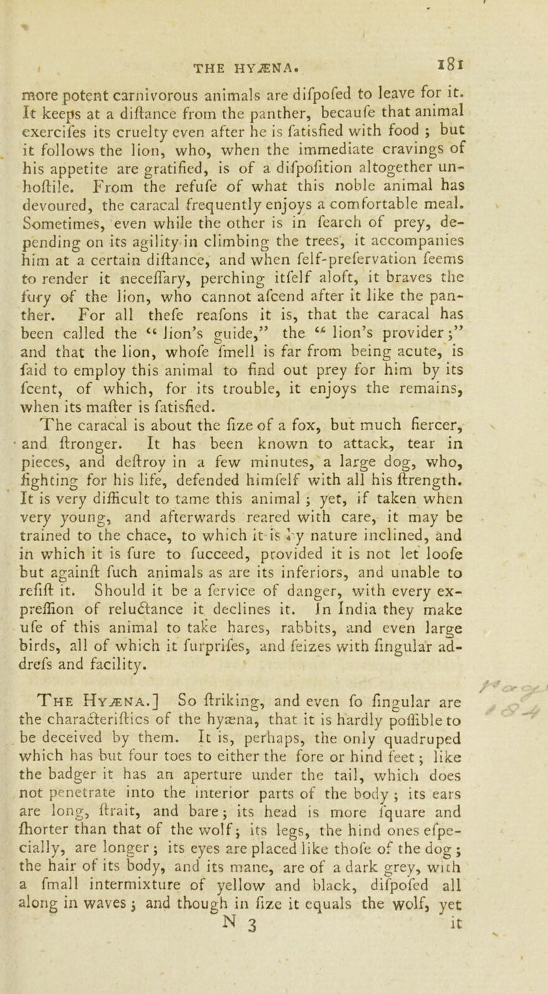 more potent carnivorous animals are difpofed to leave for it. It keeps at a diftance from the panther, becaufe that animal exercifes its cruelty even after he is fatisfied with food ; but it follows the lion, who, when the immediate cravings of his appetite are gratified, is of a difpofition altogether un- hoftile. From the refufe of what this noble animal has devoured, the caracal frequently enjoys a comfortable meal. Sometimes, even while the other is in fearcli of prey, de- pending on its agility in climbing the trees', it accompanies him at a certain diftance, and when felf-prefervation feems to render it neceftary, perching itfelf aloft, it braves the fury of the lion, who cannot afeend after it like the pan- ther. For all thefc reafons it is, that the caracal has been called the “lion’s guide,” the “ lion’s provider;” and that the lion, whofe fimell is far from being acute, is laid to employ this animal to find out prey for him by its feent, of which, for its trouble, it enjoys the remains, when its mafter is fatisfied. The caracal is about the fizeof a fox, but much fiercer, • and ftronger. It has been known to attack, tear in pieces, and deftroy in a few minutes, a large dog, who, fighting for his life, defended himfelf with all his ftrength. It is very difficult to tame this animal ; yet, if taken when very young, and afterwards reared with care, it may be trained to the chace, to which it is l y nature inclined, and in which it is fure to fucceed, provided it is not let loofe but againft fuch animals as are its inferiors, and unable to refift it. Should it be a fervice of danger, with every ex- preffion of reludftance it declines it. In India they make ufe of this animal to take hares, rabbits, and even large birds, all of which it furprifes, and feizes with fingular ad- drefs and facility. The Hyaena.] So ftriking, and even fo fingular are the characferiftics of the hyaena, that it is hardly poffibleto be deceived by them. It is, perhaps, the only quadruped which has but four toes to either the fore or hind feet; like the badger it has an aperture under the tail, which does not penetrate into the interior parts of the body ; its ears are long, ftrait, and bare; its head is more lquare and fhorter than that of the wolf; its legs, the hind ones efpe- cially, are longer ; its eyes are placed like thole of the dog ; the hair of its body, and its mane, are of a dark grey, with a fmall intermixture of yellow and black, difpofed all along in waves; and though in fize it equals the wolf, yet N 3 it