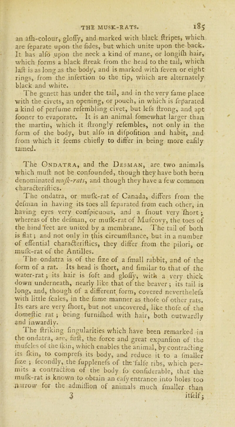 THE MUSK-RATS. l8$ an &fh-coIour, gloffy, and marked with black ftripes, which are feparate upon the ffdes, but which unite upon the back. It has alfo upon the neck a kind of mane, or longifh hair, which forms a black ftreak from the head to the tail, which laft is as long as the body, and is marked with feven or eight rings, from the infertion to the tip, which are alternately black and white. The genett has under the tail, and in the very fame place with the civets, an opening, or pouch, in which is feparated a kind of perfume refembling civet, but lefs lfrong, and apt fooner to evaporate. It is an animal fomewhat larger than the martin, which it ftrongly refembles, not only in the form of the body, but alfo in dilpofition and habit, and from which it feems chiefly to differ in being more eafily tamed. The Ondatra, and the Desman, are two animals which muff not be confounded, though they have both been denominated mujk-rats, and though they have a few common characteriftics. The ondatra, or inulk-rat of Canada, differs from the defman in having its toes all feparated from each other, in having eyes very confpicuous, and a fnout very fhort; whereas of the defman, or mufk-rat of Mufcovy, the toes of the hind feet are united by a membrane. The tail of both is flat; and not only in t;his circumftance, but in a number of eflential characteriftics, they differ from the pilori, or mufk-rat of the Antilles. The ondatra is of the ftze of a fmall rabbit, and of the form of a rat. Its head is fhort, and fimiiar to that of the water-rat; its hair is foft and gloffy, with a very thick down underneath, nearly like that of the beaver; its tail is long, and, though of a different form, covered neverthelefs with little feales, in the fame manner as thofe of other rats. Its ears are very fhort, but not uncovered, like thole of the domeftic rat ; being furnifhed with hair, both outwardly $nd inwardly. I he ftriking Angularities which have been remarked in the ondatra, are, firft, the force and great expanffon of the mufcles oi tne 1km, which enables the animal, by contracting its fkin, to comprefs its body, and reduce it 'to a fmaller fize ; fecondly, the fupplenefs of the dalle ribs, which per- mits a contra&ron of the body fo confiderable, that the mufk-rat is known to obtain an eafy entrance into holes too furrow for the admiftion of animals much fmaller thap 3 itfclfi