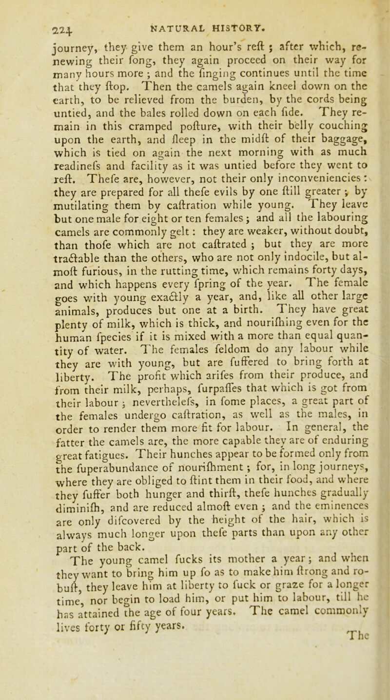 22J{. journey, they give them an hour’s reft ; after which, re- newing their fong, they again proceed on their way for many hours more ; and the Tinging continues until the time that they ftop. Then the camels again kneel down on the earth, to be relieved from the burden, by the cords being untied, and the bales rolled down on each fide. They re- main in this cramped pofture, with their belly couching upon the earth, and fleep in the midft of their baggage, which is tied on again the next morning with as much readinefs and facility as it was untied before they went to reft. Thefe are, however, not their only inconveniencies : they are prepared for all thefe evils by one ftill greater; by mutilating them by caftration while young. They leave but one male for eight or ten females ; and all the labouring camels are commonly gelt: they are weaker, without doubt, than thofe which are not caftrated ; but they are more tradlable than the others, who are not only indocile, but al- moft furious, in the rutting time, which remains forty days, and which happens every fpring of the year. The female o-oes with young exactly a year, and, like all other large animals, produces but one at a birth. They have great plenty of milk, which is thick, and nourifhing even for the human fpecies if it is mixed with a more than equal quan- tity of water. The females feldom do any labour while they are with young, but are fuffered to bring forth at liberty. The profit which arifes from their produce, and from their milk, perhaps, furpafles that which is got from their labour ; neverthelefs, in fome places, a great part of the females undergo caftration, as well as the males, in order to render them more fit for labour. In general, the fatter the camels are, the more capable they are of enduring great fatigues. Their hunches appear to be formed only from the fuperabundance of nourifhment; for, in long journeys, where they are obliged to ftint them in their food, and where they fufter both hunger and thirft, thefe hunches gradually diminifh, and are reduced almoft even ; and the eminences are only difcovered by the height of the hair, which is always much longer upon thefe parts than upon any other part of the back. The young camel fucks its mother a year; and when they want to bring him up fo as to make him ftrong and ro- buft, they leave him at liberty to fuck or graze for a longer time, nor begin to load him, or put him to labour, till he has attained the age of four years. The camel commonly lives forty or fifty years.