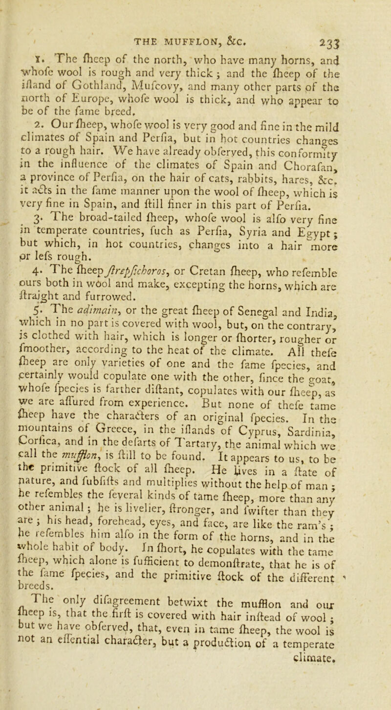 THE MUFFLON, &C. t. The fheep of the north, who have many horns, and whofe wool is rough and very thick ; and the fheep of the ifland of Gothland, Mulcovy, and many other parts of the north of Europe, whofe wool is thick, and who appear to be of the fame breed. 2. Our fheep, whofe wool is very good and fine in the mild climates of Spain and Perfia, but in hot countries changes to a rough hair. We have already obferyed, this conformity in the influence of the climates of Spain and Chorafan, a province of Perfia, on the hair of cats, rabbits, hares, &c. it acts in the fame manner upon the wool of fheep, which is very fine in Spain, and flill finer in this part of Perfia. 3. The broad-tailed fheep, whofe wool is alfo very fine in temperate countries, fuch as Perfia, Syria and Egypt; but which, in hot countries, changes into a hair more or lefs rough. 4. The fheep Jlrfpfichoros, or Cretan fheep, who refemble ours both in wool and make, excepting the horns, which are itraight and furrowed. 5. The adimain, or the great fheep of Senegal and India, which in no part is covered with wool, but, on the contrary, js clothed with hair, which is longer or fhorter, rougher or fmoother, according to the heat of the climate. All thefe fheep are only varieties of one and the fame fpecies, and .certainly would copulate one with the other, fince the goat, whole fpccics is farther diftant, copulates with our fheep, as we are affured from experience. But none of thefe tame fheep have the characters of an original fpecies. In the mountains of Greece, in the iflands of Cyprus, Sardinia, Coriica, and in the defarts of Tartary, the animal which we call the mufflon, is ftill to be found. It appears to us, to be the primitive flock of all fheep. He fives in a flate of nature, and fubfifts and multiplies without the help of man ; he refembles the feyeral kinds of tame fheep, more than any other animal ; he is livelier, ftronger, and lwifter than they are ; his head, forehead, eyes, and face, are like the ram’s ; he refembles him alfo in the form of the horns, and in the whole habit or body. Jn fhort, he copulates with the tame fheep, which alone is fufficient to demonftrate, that he is of the fame fpecies, and the primitive flock of the different < breeds. The only difagreement betwixt the mufflon and oux cep is, that the fiifl is covered with hair inflead of wool * but we have obferved, that, even in tame fheep, the wool is not an eucntial character, but a production ot a temperate climate.