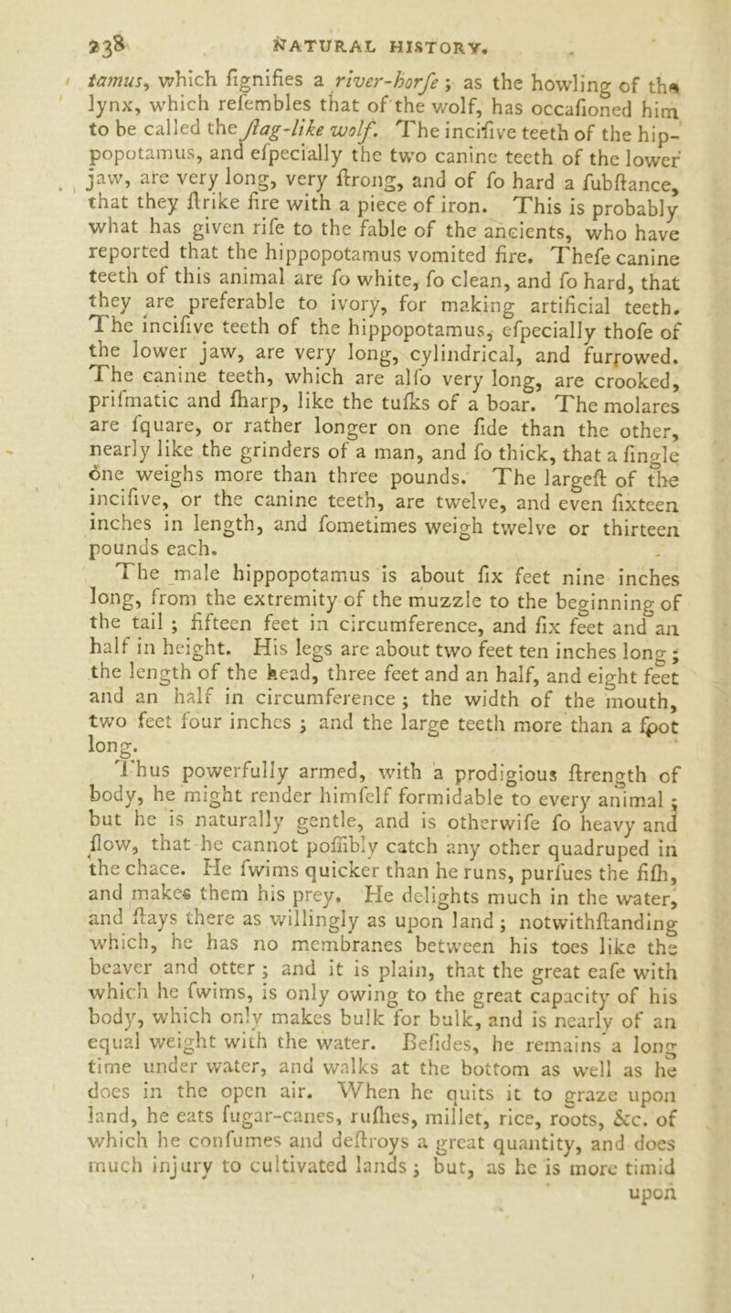 tamus, which fignifies a river-horfe; as the howling of th* lynx, which refembles that of the wolf, has occafioned him to be called the fag-like wolf. The incifive teeth of the hip- popotamus, and especially the two canine teeth of the lower jaw, are very long, very ilrong, and of fo hard a fubftance, that they flrike fire with a piece of iron. This is probably what has given rife to the fable of the ancients, who have reported that the hippopotamus vomited fire. ^ hefe canine teeth of this animal are fo white, fo clean, and fo hard, that they are preferable to ivory, for making artificial teeth. I he incifive teeth of the hippopotamus, especially thofe of the lower jaw, are very long,cylindrical, and furrowed. The canine teeth, which are alfo very long, are crooked, prifmatic and fharp, like the tufks of a boar. The molares are lquare, or rather longer on one fide than the other, nearly like the grinders of a man, and fo thick, that a fingle one weighs more than three pounds. The largefl of the incifive, or the canine teeth, are twelve, and even fixteen inches in length, and fometimes weigh twelve or thirteen pounds each. The male hippopotamus is about fix feet nine inches long, from the extremity of the muzzle to the beginning of the tail ; fifteen feet in circumference, and fix feet and an half in height. His legs are about two feet ten inches lono;; the length of the kead, three feet and an half, and eight feet and an half in circumference ; the width of the mouth, two feet four inches ; and the large teeth more than a fpot long. Thus powerfully armed, with a prodigious ftrength of body, he might render himfelf formidable to every animal ; hut he is naturally gentle, and is otherwife fo heavy and flow, that he cannot pofiibly catch any other quadruped in the chace. He fwims quicker than he runs, purfues the fifh, and make* them his prey. He delights much in the water, and flays there as willingly as upon land; notwithflanding which, he has no membranes between his toes like the beaver and otter ; and it is plain, that the great eafe with which he fwims, is only owing to the great capacity of his body, which only makes bulk for bulk, and is nearly of an equal weight with the water. Befides, he remains* a long time under water, and walks at the bottom as well as he does in the open air. When he quits it to graze upon land, he eats fugar-canes, rallies, millet, rice, rcTots, &c. of which he con Turner and deftroys a great quantity, and does much injury to cultivated lands; but, as he is more timid upon