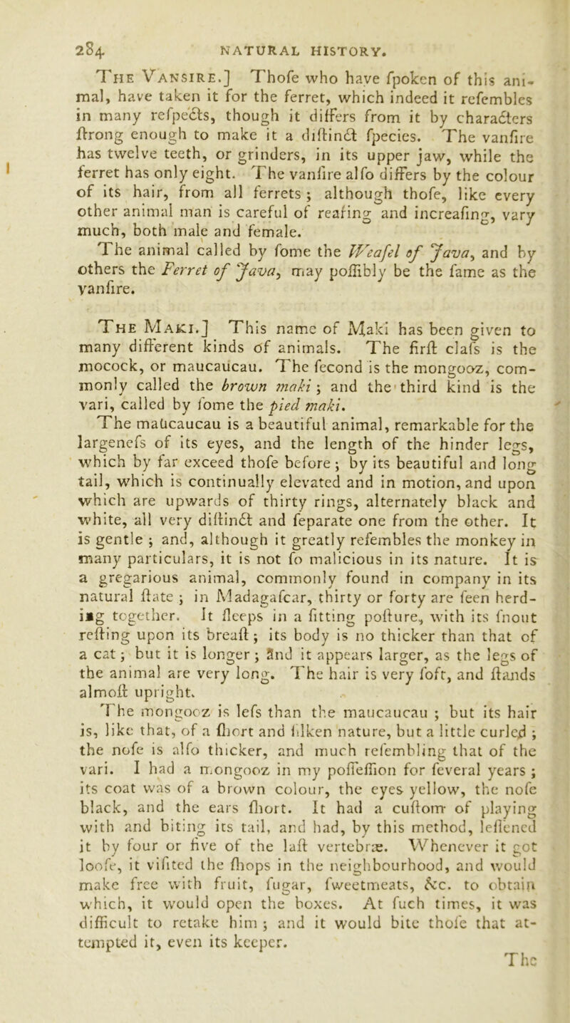 The Vansire.] Thofe who have fpokcn of this ani- mal, have taken it for the ferret, which indeed it refembles in many refpe'&s, though it differs from it by characters ffrong enough to make it a diftind fpecies. The vanfire has twelve teeth, or grinders, in its upper jaw, while the ferret has only eight. The vanfire alfo differs by the colour of its hair, from all ferrets; although thofe, like every other animal man is careful of rearing and increafing, vary much, both male and female. The animal called by fome the TFeafel of Java, and by others the Ferret of Java, may poflibly be the fame as the vanfire. The Maki.] This name of Maki has been given to many different kinds of animals. The firft clafs is the mocock, or maucaucau. The fecond is the mongooz, com- monly called the brown maki ; and the third kind is the vari, called by fome the pied maki. The makcaucau is a beautiful animal, remarkable for the largenefs of its eyes, and the length of the hinder legs, which by far exceed thofe before; by its beautiful and long tail, which is continually elevated and in motion, and upon which are upwards of thirty rings, alternately black and white, all very difbin<5t and feparate one from the other. It is gentle ; and, although it greatly refembles the monkey in many particulars, it is not fo malicious in its nature. It is a gregarious animal, commonly found in company in its natural ftate ; in Madagafcar, thirty or forty are leen herd- i*g together. It fleeps in a fitting pofture, with its fnout refting upon its breall; its body is no thicker than that of a cat; but it is longer ; Snd it appears larger, as the legs of the animal are very long. The hair is very foft, and Hands almoft upright. The mongooz is lefs than the maucaucau ; but its hair is, like that, of a (hort and hlken nature, but a little curled ; the nofe is alfo thicker, and much refembling that of the vari. I had a mongooz in my poffeffion for feveral years ; its coat was of a brown colour, the eyes yellow, the nofe black, and the ears fhort. It had a cuftorrr of playing with and biting its tail, and had, by this method, leffened it by lour or five ot the laft vertebrae. Whenever it got loofe, it vifited the Ihops in the neighbourhood, and would make free with fruit, lugar, fweetmeats, &c. to obtaiii which, it would open the boxes. At fuch times, it was difficult to retake him ; and it would bite thofe that at- tempted it, even its keeper.