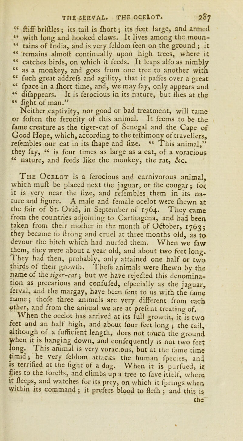 THE SERVAL. THE OCElOT. dSj u ftiff briftles; its tail is fhort; its feet large, and armed t£ with long and hooked claws. It lives among the moun- 4< tains of India, and is very feldom feen on the ground ; it u remains almofl continually upon high trees, where it <£ catches birds, on which it feeds. It leaps alfo as nimbly <£ as a monkey, and goes from one tree to another with <e fuch great addrefs and agility, that it paffes over a great “ fpace in a fhort time, and, we may fay, only appears and “ difappears. It is ferocious in its nature, but flies at the “ fight of man.” Neither captivity, nor good or bad treatment, will tame or foften the ferocity of this animal. It feems to be the fame creature as the tiger-cat of Senegal and the Cape of Good Hope, which, according to the teftimony of travellers, refembles our cat in its fhape and fize. This animal,” they fay, “ is four times as large as a cat, of a voracious <£ nature, and feeds like the monkey, the rat, &c. The Ocelot is a ferocious and carnivorous animal, which muft be placed next the jaguar, or the cougar; for it is very near the iize, and refembles them in its na- ture and figure. A male and female oceiot were fhewn at the fair of St. Ovid, in September of 1764. They came from the countries adjoining to Carthagena, and had been taken from their mother in the month of (Jdfober, 1763; they became lo lfrong and cruel at three months old, as to devour the bitch which had nurfed them. When we faw them, they were about a year old, and about two feet long. 1 hey had then, probably, only attained one half or two thirds of their growth. Thefe animals were fhewn by the name or the tiger-cat; but we have rejedled this denomina- tion as precarious and confufed, efpecially as the jaguar, ferval, and the margay, have been fent to us with the lame name; thofe three animals are very different from each other, and from the animal we are at p re feat treating of. When the ocelot has arrived at its full growth, it is two feet and an half high, and about four feet long ; the tail, although of a fufficient length, does not touch the ground Vvhen it is hanging down, and consequently is not two feet long. I his animal is very vorac.ous, but at the fame time timid; he very feldom attacks the human fpecies, anti is terrified at the fight of a dog. When it is purfued, it Bies to the forefts, and climbs up a tree to lave itfelf, where it Beeps, and watches for its prey, on which it fprings when within its command; it prefers blood to fiefh ; and this is