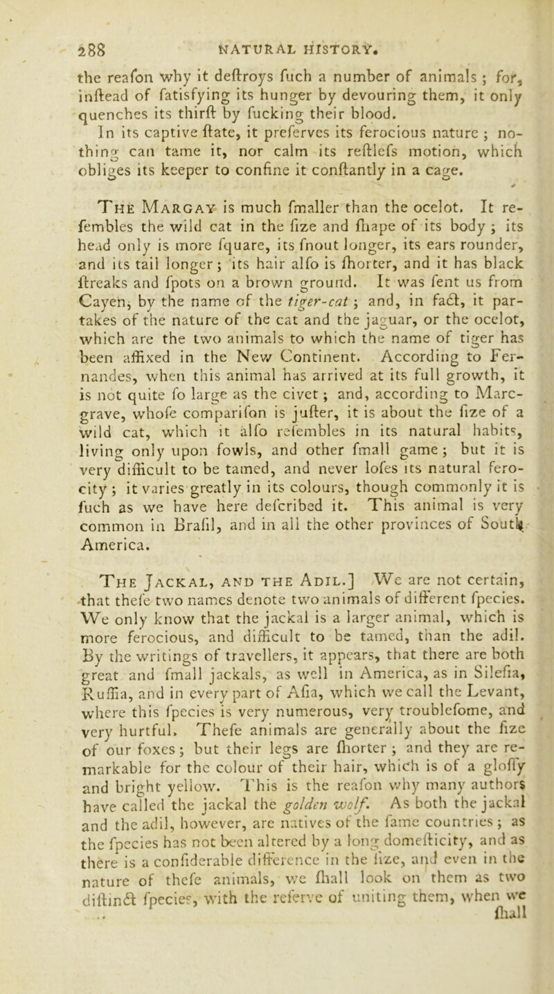 the reafon why it deftroys fuch a number of animals; for, inftead of fatisfying its hunger by devouring them, it only quenches its thirft by fucking their blood. In its captive ftate, it preferves its ferocious nature ; no- thing can tame it, nor calm its reftlefs motion, which obliges its keeper to confine it conftantly in a cage. The Margay is much fmaller than the ocelot. It re- fembles the wild cat in the fize and fhape of its body ; its head only is more fquare, its fnout longer, its ears rounder, and its tail longer; its hair alfo is fhorter, and it has black ftreaks and fpots on a brown ground. It was fent us from Cayen, by the name of the tiger-cat ; and, in facSt, it par- takes of the nature of the cat and the jaguar, or the ocelot, which are the two animals to which the name of tiger has been affixed in the New Continent. According to Fer- nandes, when this animal has arrived at its full growth, it is not quite fo larn;e as the civet; and, according to Marc- grave, whofe comparifon is jufter, it is about the fize of a wild cat, which it alfo refembles in its natural habits, living only upon fowls, and other fmall game; but it is very difficult to be tamed, and never lofes its natural fero- city ; it varies greatly in its colours, though commonly it is fuch as we have here deferibed it. This animal is very common in Brafil, and in all the other provinces of Soutk America. The Jackal, and the Adil.] We are not certain, that thefe two names denote two animals of different fpccies. We only know that the jackal is a larger animal, which is more ferocious, and difficult to be tamed, than the adil. By the writings of travellers, it appears, that there are both great and fmall jackals, as well in America, as in Silefia, Ruffia, and in every part of Afia, which we call the Levant, where this fpecies is very numerous, very troublefome, and very hurtful. Thefe animals are generally about the fize of our foxes; but their legs are fhorter ; and they are re- markable for the colour of their hair, which is of a gloffy and bright yellow. This is the reafon why many authors have called the jackal the golden wolf. As both the jackal and the adil, however, are natives of the fame countries ; as the fpecies has not been altered by a long domefticity, and as there is a confiderable difference in the lize, and even in the nature of thefe animals, we Ihall look on them as two diftinft fpecies, with the referve of uniting them, when we