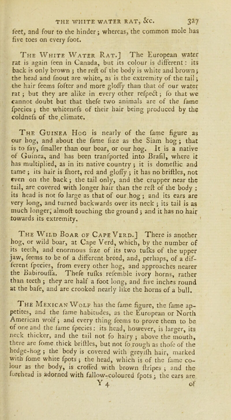 THE WHITE WATER RAT, Sic. feet, and four to the hinder; whereas, the common mole has five toes on every foot. The White Water Rat.] The European water rat is again feen in Canada, but its colour is different: its back is only brown ; the reft of the body is white and brown; the head and fnout are white, as is the extremity of the tail; the hair feems fofter and more gloffy than that of our water rat ; but they are alike in every other refpedt; fo that we cannot doubt but that thefe two animals are of the fame fpecies ; the whitenefs of their hair being produced by the coldnefs of the climate. The Guinea Hoc is nearly of the fame figure as our hog, and about the fame fize as the Siam hog ; that is to fay, fmaller than our boar, or our hog. It is a native of Guinea, and has been tranfported into Brafil, where it has multiplied, as in its native country ; it is domeftic and tame ; its hair is fliort, red and gloffy ; it has no briftles, not even on the back; the tail only, and the crupper near the tail, are covered with longer hair than the reft of the body : its head is not fo large as that of our hog; and its ears are very long, and turned backwards over its neck ; its tail is as much longer, almoft touching the ground ; and it has no hair towards its extremity. The Wild Boar of Cape Verd.] There is another hog, or wild boar, at Cape Verd, which, by the number of its teeth, and enormous fize of its two tufks of the upper jaw, feems to be of a different breed, and, perhaps, of a dif- ferent fpecies, from every other hog, and approaches nearer the Babiroufta. Thefe tufks refemble ivory horns, rather than teeth ; they are half a foot long, and five inches round at the bafe, and are crooked nearly like the horns of a bull. The Mexican Wolf has the fame figure, the fame ap- petites, and the lame habitudes, as the European or North American wolf; and every thing feems to prove them to be of one and the fame fpecies: its head, however, is larger, its neck thicker, and the tail not fo hairy ; above the mouth, there are fome thick briftles, but not fo rough as thole of the hedge-hog ; the body is covered with greyifh hair, marked with fome white fpots ; the head, which is of the fame co- lour as the body, is crofted with brown ftripes ; and the forehead is adorned with fallow-coloured fpots; the ears are Y4 of