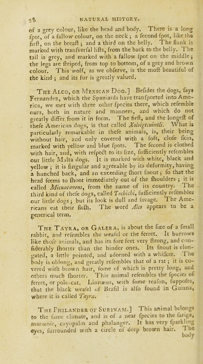 of a grey colour, like the head and body. There is a long fpot, of a fallow colour, on the neck ; a fecond fpot, like the firft, on the brcaft; and a third on the belly. The flank is marked with tranfverfal lifts, from the back to the belly. The tail is grey, and marked with a fallow fpot on the middle j the legs are ftriped, from top to bottom, of a grey and brown colour. This wolf, as we obferve, is the moft beautiful of the kind ; and its fur is greatly valued. The Alco, or Mexican Dog.] Beftdes the dogs, fays Fernandez, which the Spaniards have tranfported into Ame- rica, we met with three other fpecies there, which refemble ours, both in nature and manners, and which do not greatly differ from it in form. The firft, and the longeft of thefe American dogs, is that called Xoloigtcuintli. What is particularly remarkable in thefe animals, is, their being without hair, and only covered with a foft, clofe fkin, marked with yellow and blue fpots. The fecond is clothed with hair, and, with refpe& to its fize, fufficiently refembles our little Malta dogs. It is marked with white, black and yellow ; it is Angular and agreeable by its deformity, having a hunched back, and an exceeding fhort fnout; fo that the head feems to fhoot immediately out of the (boulders ; it is called Micucicanens, from the name of its country* x he third kind of thefe dogs, called Tecbicbi, fufficiently refembles our little dogs; but its look is dull and lavage. 'T he Ame- ricans eat their flefti. The word Alco appears to be a generical term. The Tayra, or Galera, is about the fize of a fmall rabbit, and relembles the vveafel or the ferret. It burrows like thofe animals, and has its fore feet very ftrong, and con- fiderably fhorter than the hinder ones. Its fnout is elon- gated, a little pointed, and adorned with a whifker. I he body is oblong, and greatly refembles that of a rat ; it is co- vered with brown hair, fome of which is pretty long, and others much Ihorter. This animal refembles the fpecies of ferret, or pole-cat. Linnaeus, with fome reafon, luppofes, that the black wealel of Brafil is alfo found in Guiana, where it is called Tayra. The Philander of Surinam.] 1 his animal belongs to the fame climate, and is of a near fpecies to the fariga, rnarmoie, cayopalin and phalanger. It has very fparkling eyes, furiounded with a circle of deep brown hair. I he J . body