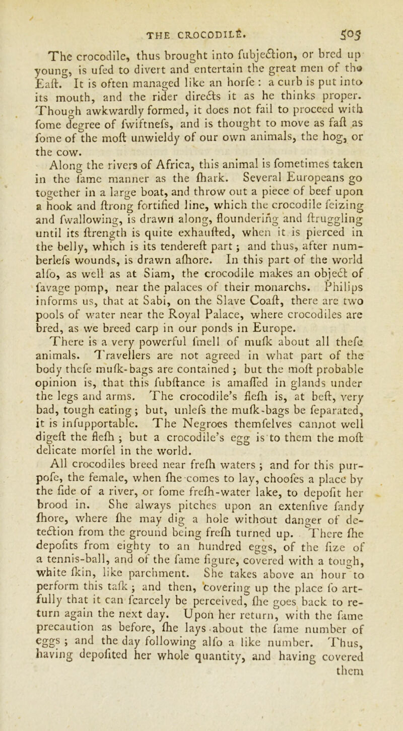 THE CROCODILfi. The crocodile, thus brought into fubje&ion, or bred up young, is ufed to divert and entertain the great men of tho Eaft. It is often managed like an horfe : a curb is put into its mouth, and the rider directs it as he thinks proper. Though awkwardly formed, it does not fail to proceed with fome degree of fwiftnefs, and is thought to move as fall as fome of the rnoft unwieldy of our own animals, the hog, or the cow. Along the rivers of Africa, this animal is fometimes taken in the fame manner as the fhark. Several Europeans go together in a large boat, and throw out a piece of beef upon a hook and ftrong fortified line, which the crocodile feizing and fwallowing, is drawn along, floundering and ftruggling until its ftrength is quite exhaufled, when it is pierced in the belly, which is its tendered: part; and thus, after num- berlefs wounds, is drawn afhore. In this part of the world alfo, as well as at Siam, the crocodile makes an object of favage pomp, near the palaces of their monarchs. Philips informs us, that at Sabi, on the Slave Coafl, there are two pools of water near the Royal Palace, where crocodiles are bred, as we breed carp in our ponds in Europe. There is a very powerful fmell of mufk about all thefe animals. Travellers are not agreed in what part of the body thefe mufk-bags are contained ; but the mold probable opinion is, that this fubftance is amafled in glands under the legs and arms. The crocodile’s flefii is, at belt, very bad, tough eating; but, unlefs the mufk-bags be feparated, it is infupportable. The Negroes themfelves cannot well digeft the flefh ; but a crocodile’s egg is to them the moft delicate morfel in the world. All crocodiles breed near frefh waters ; and for this pur- pofe, the female, when fhe comes to lay, choofes a place by the fide of a river, or fome frefh-water lake, to depofit her brood in. She always pitches upon an extenlive fandy fhore, where fhe may dig a hole without danger of de- tection from the ground being frefh turned up. There fhe depofits from eighty to an hundred eggs, of the fize of a tennis-ball, and of the fame figure, covered with a tough, white fkin, like parchment. She takes above an hour to perform this talk ; and then, covering up the place lo art- fully that it can fcarcely be perceived, flic goes back to re- turn again the next day. Upon her return, with the fame precaution as before, fhe lays about the fame number of eggs ; and the day following alfo a like number. Thus, having depofited her whole quantity, and having covered