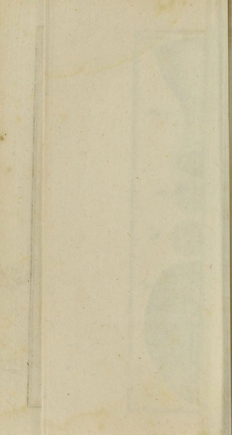 m t ■ Kà V e -ÜA .m X ) ■ f I ■t- s 's^'C ■?.» 'i ? / i i; rj