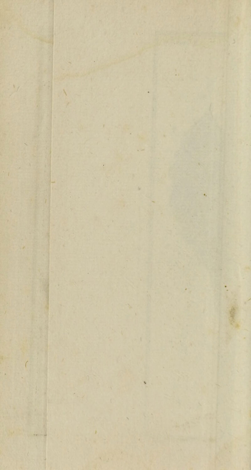 V N \ t 1 • 4t' $ \ -* r V V 4**- l \ ' .. > 1 % ^ * -/i \ i A ' - .'l ■4 r> i * :. \M \ ■• •> • =, • ' I 1 V