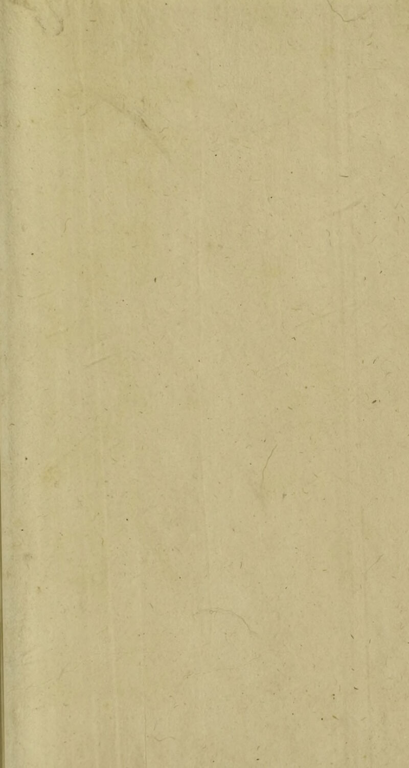 » % l« V. ■H-v ■> / y f * r 'jfi * t .1 \'f ■ . k- : < » • f ‘C.‘ » . V ‘ f .'' y } \ i .■\ ( i Ì \ / \ ’i < \ l