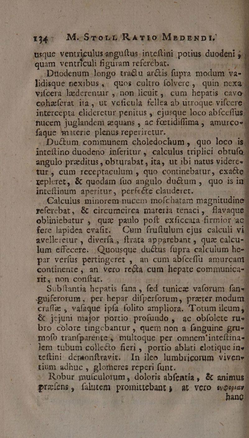 134; M. -SyvoLL RA TiO MEDENDIJ/ usque ventriculus apguftus. snrcddilo potius duodgni  quam ventriculi figuram referébat. M Dtodenum longo tradu arcLis fupra modum va- | lidisque nexibus, quos cultro folvere , quin nexa] vifcera lederentur ,.non licuit ,, cum hepatis cavo; cohaferat ita, ut veficula fellea ab utroque vifcere.- intercepta elideretur penitus ,. ejusque loco abíceflus: Usi Usati equans , ac foetidiffima , amurco-. faque waerie plenus reperirctur. | X .. Du&amp;um. communem choledochum , quo loco is; intetino duodeno inferitur ,. calculus triplici obtufo.; angulo praeditus , obturabat, ita, ut ibi natus videre» tur, cum receptaculum , quo continebatur, exa&amp;te | xepleret, &amp; quodam íuo angulo du&amp;um, quo is in. inieflinum aperitur, perfecte clauderet. | Calculus minorem nucem mofchatam magnitudine: yeferebat,. &amp; circumcirca materia tenaci, flavaque? obüniebatur , qux paulo poft exficcara firmior ac. fere lapidea evafit. | Cum fruftulum ejus calculi vi? avellezetur , diverfa , ftrata apparebant , qua calcu-; lum effecere. Quousque ductus fupra calculum hod par verfus pertingeret ,' an cum abfceffu amurcant; continente , an vero recta cum hepate communica- ; rit, non conftat. Sub(tantia hepatis fana , fed tunicae vaforum fan«. guiferorum , per hepar difperforum, prater modum | craffas , vafaque ipfa folito ampliora. Totum ileum &amp; jejuni major portio. profundo , ^ ac obíolete rus. bro colore tingcbantur , quem non a fanguine gru». mofo tranfparénte multoque per omnem iutelfinal lem tubum collecto fieri , portio ablati elotique inv. teftini déraonflravit. In ileo lumbricorum Viena tium adhuc , glomeres reperi funt. | Robur muículorum , doloris abfentia , « animus vu , falutem promittebant $ at Vero pM ang