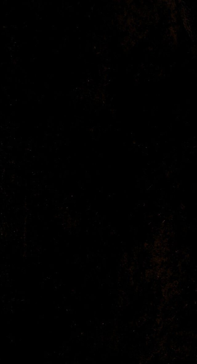 digitised image 1