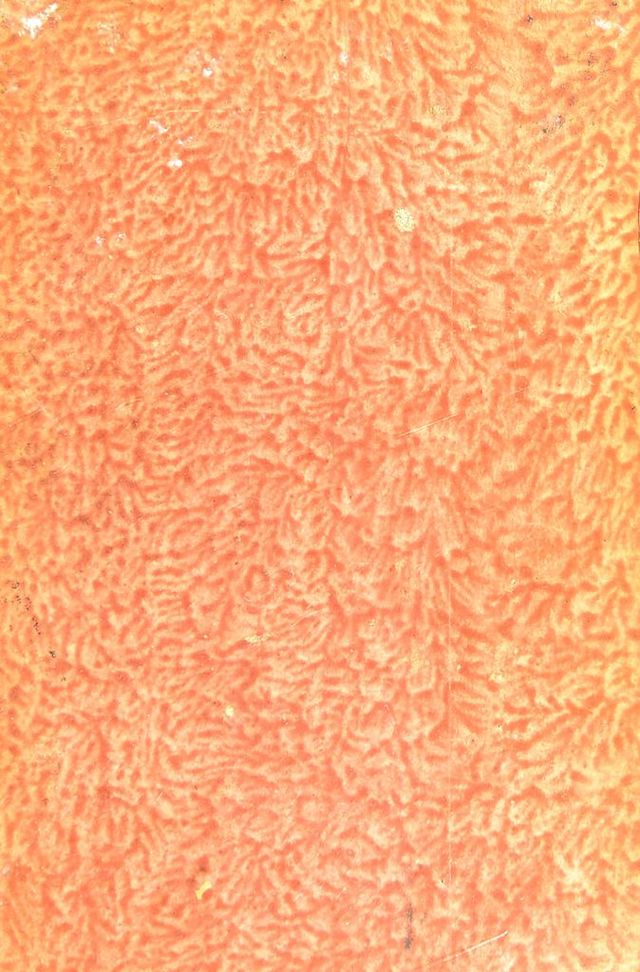 digitised image 1