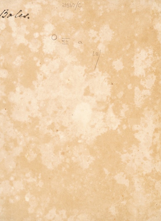 digitised image 2