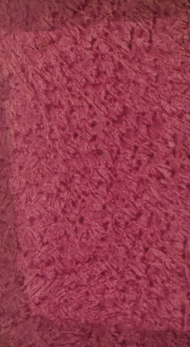 digitised image 2