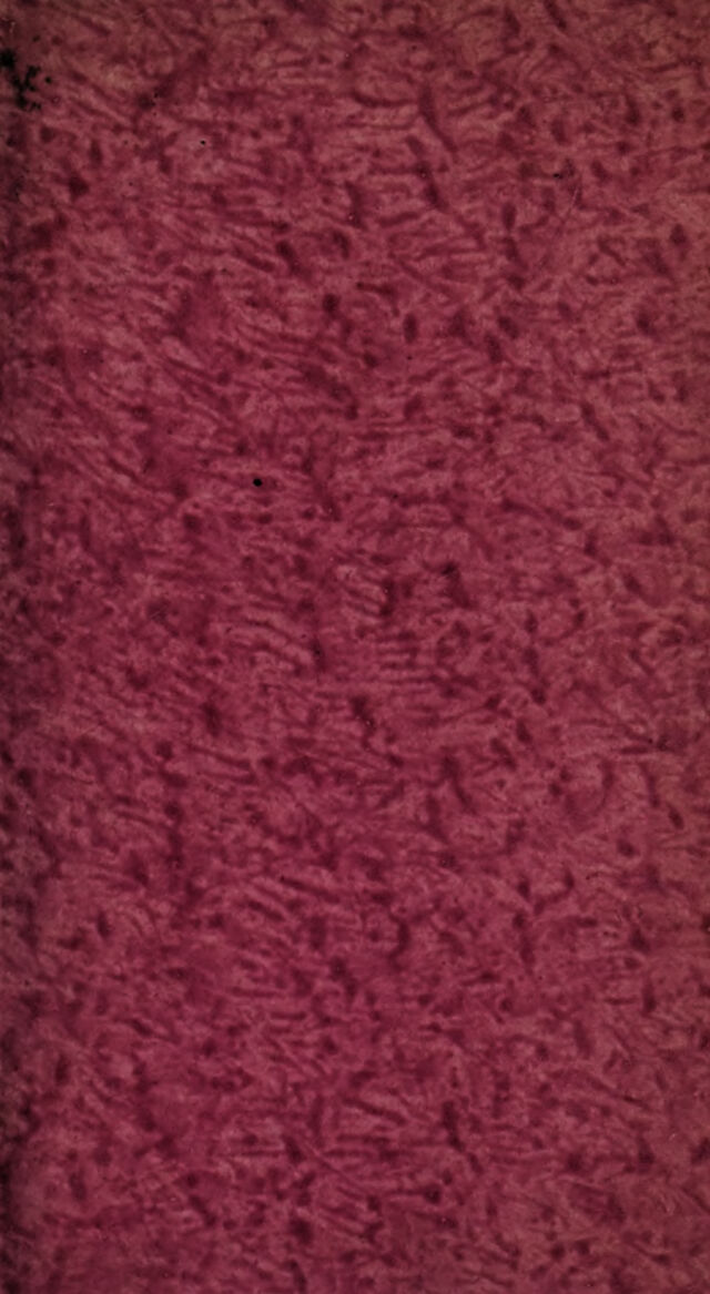 digitised image 3