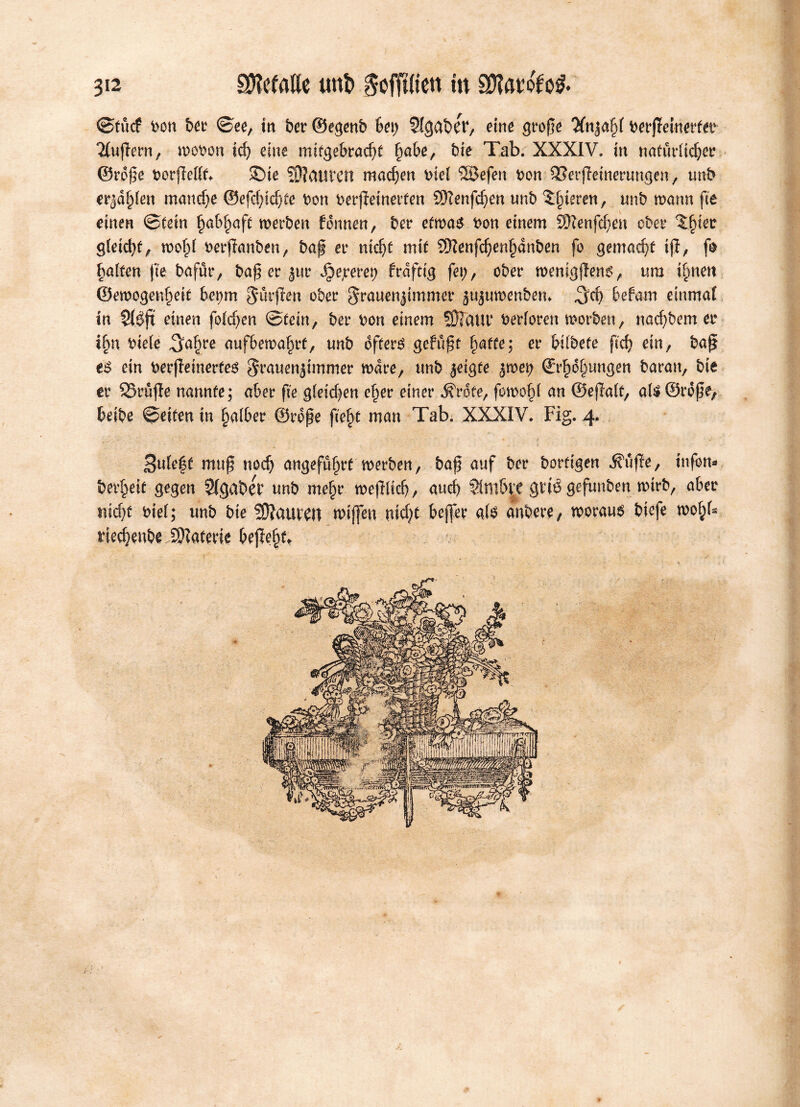 ©tucf Don Der ©ee, in ber ©egenb bei) SlgaöCD, eine groøe Anzahl Derffeinerte Puffern , woben ich eine nütgebracht §abe, bie Tab. XXXIV. in natürlicher ©roøe borffettt* SDte Mailten machen Diel ©efen Don SSerjteinerungen , unb erjagen manche ©efchicfyte Don berjleinerfen Sftenfchen unb ‘Jl^ieren, tmb wann fee einen ©lein habhaft werben tonnen, ber etwa# Don einem üJftenfchen ober ?:§iec gleicht, wohl Derfanben, baf er nicht mit 2Kenfd)enl)dnben fo gemacht ift, f& galten fee bafür, baf er zur S^eyew) frdfttg fei), ober wenigjTen^, nm tonett ©ewogenheit bet;m durften ober Frauenzimmer jujuwenben* $d) befarn einmal in SBft einen folgen ©tein, ber Don einem 50?aut‘ Derloren worben, nachbem er ihn Diele ^aljre aufbewahrt, unb öftere gefugt fünfte; er bilbete fid? ein, baf t$ ein berfleinertes Frauenzimmer wäre, unb zeigte $toet) (Erholungen Daran, Die tv SSrufle nannte; aber fte gleichen e|er einer Ärote, fowo§( an ©ejlalt, ate ©rofe, beibe ©eiten in halber ©rofe fieht man Tab. XXXIV. Fig. 4. 3ule|t muf noch angeführt werben, baf auf ber Dortigen d?ufie, tnfbn- berheit gegen SIgaber unb mehr wejHidj, auch Simb|e grié gefunben wirb, aber nicht Diel; unb Die Bauteil wiffen nicht beffee ah? anbere, worauf biefe wo|b riechenbe iWaterie befehd