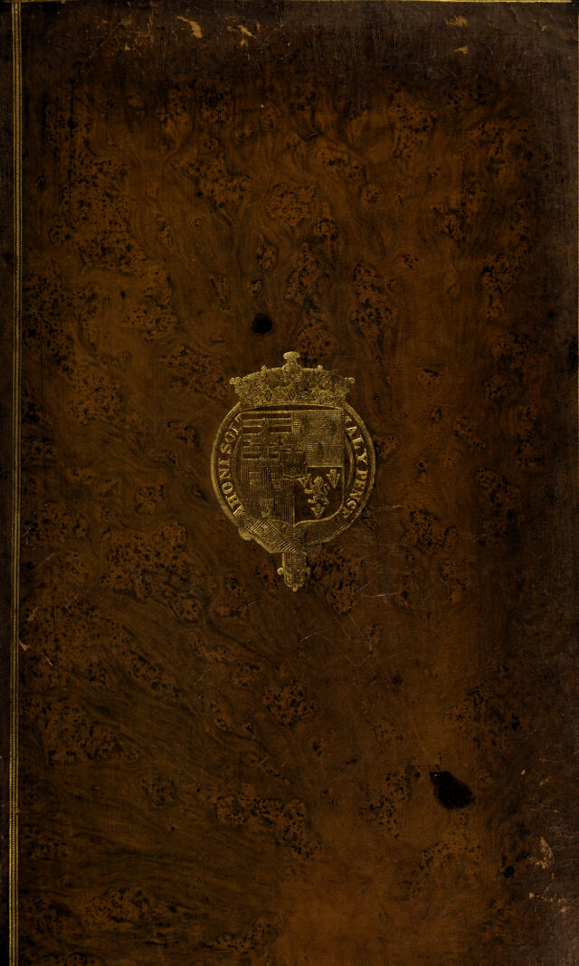 No text description is available for this image