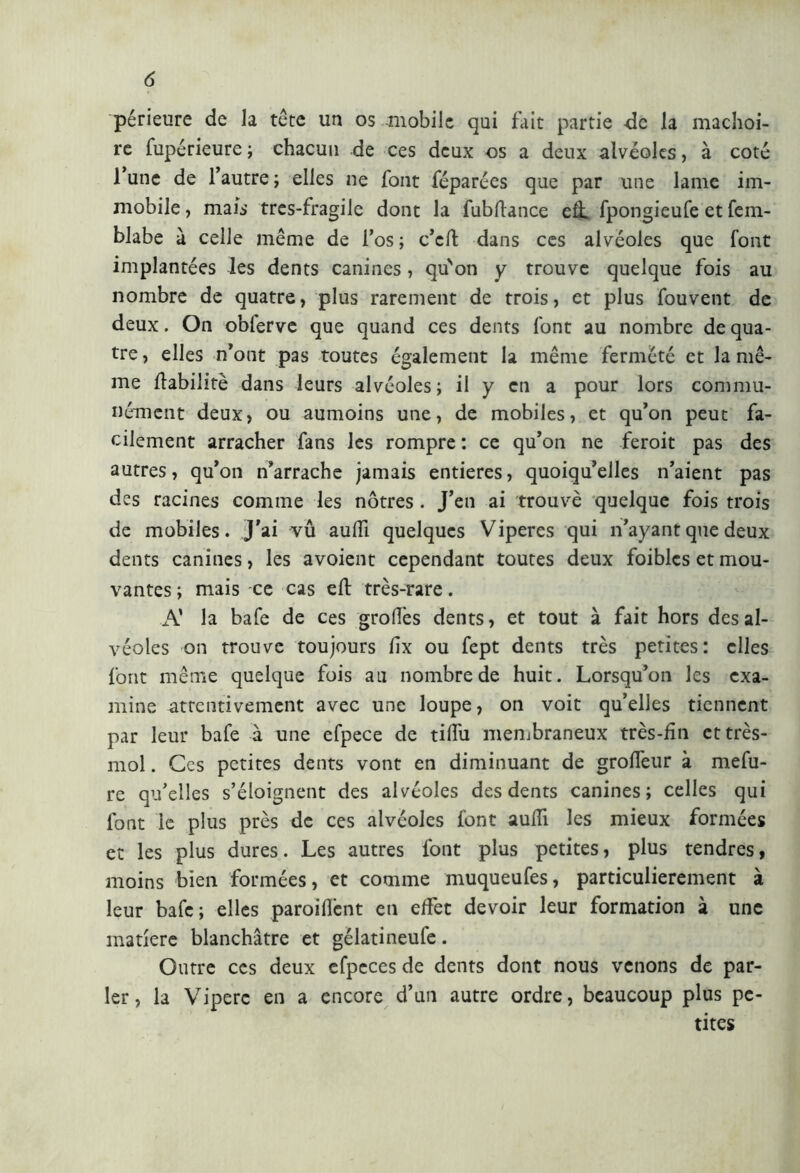 périeure de la tête un os mobile qui fait partie -de la mâchoi- re fupérieure; chacun de ces deux os a deux alvéoles, à coté l’une de l’autre; elles ne font féparées que par une lame im- mobile , mais tres-fragile dont la fubftance eli fpongieufe et fem- blabe à celle même de l’os; c’cft dans ces alvéoles que font implantées les dents canines, qu'on y trouve quelque fois au nombre de quatre, plus rarement de trois, et plus fouvent de deux. On oblerve que quand ces dents font au nombre de qua- tre, elles n’ont pas toutes également la même fermeté et la mê- me fiabilité dans leurs alvéoles; il y en a pour lors commu- nément deux, ou aumoins une, de mobiles, et qu’on peut fa- cilement arracher fans les rompre : ce qu’on ne feroit pas des autres, qu’on n’arrache jamais entières, quoiqu’elles n’aient pas des racines comme les nôtres . J’en ai trouvé quelque fois trois de mobiles, j’ai vû aulii quelques Viperes qui n’ayant que deux dents canines, les avoient cependant toutes deux foiblcs et mou- vantes; mais ce cas eli très-rare. A’ la bafe de ces grofîès dents, et tout à fait hors des al- véoles on trouve toujours lix ou fept dents très petites: elles font même quelque fois au nombre de huit. Lorsqu’on les exa- mine attentivement avec une loupe, on voit qu’elles tiennent par leur bafe à une efpece de tiffu membraneux très-fin et très- mol . Ces petites dents vont en diminuant de grolTeur à mefu- re qu’elles s’éloignent des alvéoles des dents canines; celles qui font le plus près de ces alvéoles font aulii les mieux formées et les plus dures. Les autres font plus petites, plus tendres, moins bien formées, et comme muqueufes, particulièrement à leur bafe; elles paroilîènt en effet devoir leur formation à une matière blanchâtre et gélatineufe. Outre ces deux efpeces de dents dont nous venons de par- ler, la Vipere en a encore d’un autre ordre, beaucoup plus pe- tites