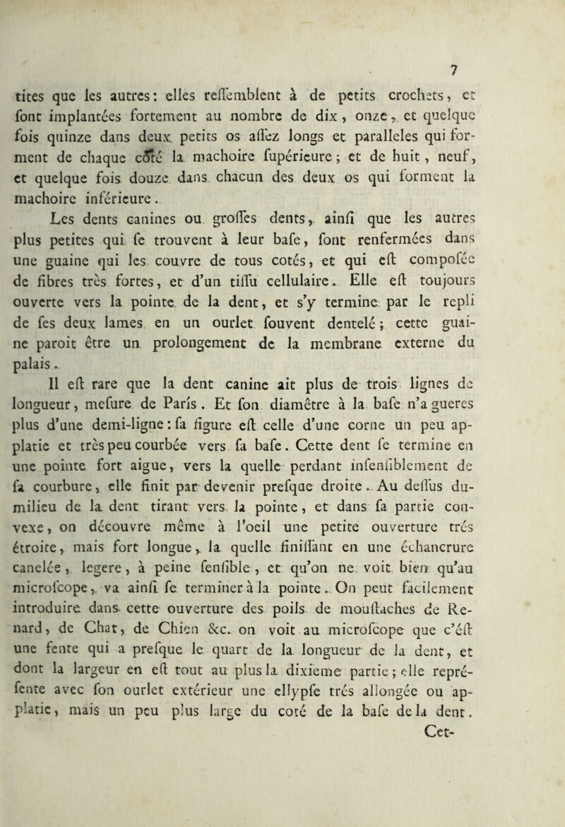 tites que les autres: elles refifemblent à de petits crochets, et font implantées fortement au nombre de dix , onze et quelque fois quinze dans deux petits os allez longs et parallèles qui for- ment de chaque ccTté la mâchoire fupéricure ; et de huit, neuf, et quelque fois douze dans chacun des deux os qui forment la mâchoire inférieure. Les dents canines ou grolfes dents, ainll que les autres plus petites qui fe trouvent à leur bafe, font renfermées dans une guaine qui les couvre de tous cotés, et qui eli compofée de fibres très fortes, et d’un tifiu cellulaire. Elle efi toujours ouverte vers la pointe de la dent, et s’y termine par le repli de fes deux lames en un ourlet fouvent dentelé ; cette guai- ne paroit être un prolongement de la membrane externe du palais.. 11 efi: rare que la dent canine ait plus de trois lignes de longueur, mefure de Paris. Et fon diamètre à la bafe n’a gueres plus d’une demi-ligne : fa figure efi: celle d’une corne un peu ap- platie et très peu courbée vers fa bafe. Cette dent fe termine en une pointe fort aigue, vers la quelle perdant infenfiblement de fa courbure, elle finit par devenir prefque droite. Au defi'us du- milieu de la dent tirant vers la pointe, et dans fa partie con- vexe , on découvre même à l’oeil une petite ouverture très étroite, mais fort longue,, la quelle finiiï'ant en une échancrure canelée , legere, à peine fenfible , et qu’on ne. voit bien qu’au microlcope, va ainfi fe terminer à la pointe. On peut facilement introduire dans cette ouverture des poils de moufiaches de Re- nard, de Chat, de Chien &c. on voit au microfcope que c’éfi une fente qui a prefque le quart de la longueur de la dent, et dont la largeur en efi tout au plus la dixième partie ; elle repré- fente avec fon ourlet extérieur une ellypfe très allongée ou ap- platic, mais un peu plus large du coté de la bafe delà dent. Cet-