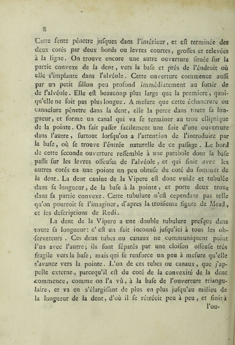 Cette fente pénétré jufques dans Fintérieur, et cft terminée des deux cotés par deux bords ou levres courtes, greffes et relevées à la ligne. On trouve encore une autre ouverture iituée fur la partie convexe de la dent, vers la bafe et prés de l’éndroit où elle s’implante dans l’alvéole. Cette ouverture commence auffi par un petit fillon peu profond immédiatement au fortir de de l’alvéole. Elle eft beauconp plus large que la premiere, quoi- qu’elle ne foit pas plus longue. A mefure que cette échancrure ou cannelure pénétré dans la dent, elle la perce dans toute fa lon- gueur , et forme un canal qui va fe terminer au trou elliptique de la pointe. On fait palier facilement une foie d’une ouverture dans l’autre , furtout lorfqu’on a l’attention de l’introduire par k bafe, où fe trouve l’éntrée naturelle de ce pafîàge . Le bord de cette feconde ouverture reffemblc à une parabole dont la bafe palle fur les levres oU'eufes de l’alvéole , et qui finie -avec les autres cotés en une -pointe un peu obtufe du coté du fominet de la dent. La dent canine de la Vipere eft donc vuide et tubulée dans la longueur, de la bafe à la pointe , et porte deux trous dans fa partie convexe. Cette tubulure n’elt cependant pas telle qu’on pourroit fe l’imaginer, d’apres la troilieme figure de Mead, ec ies deferiptions de Redi. La dent de la Vipere a une double tubulure prefque dans toute fa longueur: c’eft un fait inconnu jufqu’ici à tous les ob- servateurs . Ces deux tubes ou canaux ne communiquent point l’un avec l’autre; ils font féparés par une cloilon ofiéufe très fragile vers la bafe; mais qui fe renforce un peu à mefure qu’elle s’avance vers la pointe. L’un de ces tubes ou canaux, que j’ap- pelle externe-, pareequ’il eft du coté de la convexité de la dent ^commence, comme on l’a vu, à la bafe de l’ouverture triangu- laire, et va en s’élargiilant de plus en plus jufqu’au milieu de la longueur de la dent, d’où il fe rétrécit peu à peu, et finità J Fou- A