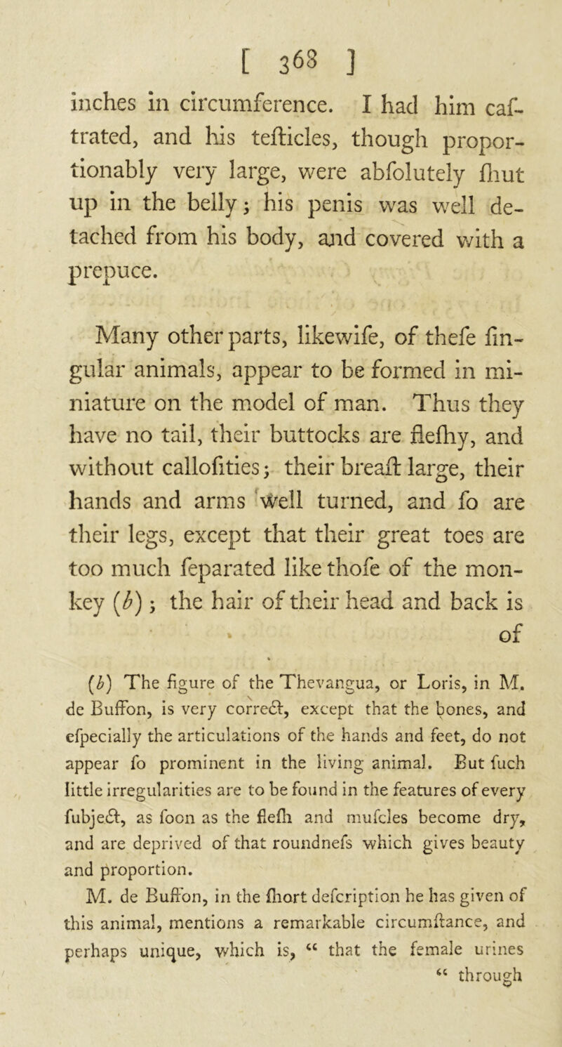 [ 363 J inches in circumference. I had him caf- trated, and his tefticles, though propor- tionally very large, were abfolutely fhut up in the belly 5 his penis was well de- tached from his body, and covered with a prepuce. Many other parts, likewife, of thefe An- gular animals, appear to be formed in mi- niature on the model of man. Thus they have no tail, their buttocks are flefhy, and without callofities; their breaft large, their hands and arms well turned, and fo are their legs, except that their great toes are too much feparated like thofe of the mon- key (b) ; the hair of their head and back is ‘ • of % (b) The figure of the Thevangua, or Loris, in M. de BufFon, is very correct, except that the bones, and efpecially the articulations of the hands and feet, do not appear fo prominent in the living animal. But fuch little irregularities are to be found in the features of every fubjedt, as foon as the fiefh and mufcles become dry, and are deprived of that roundnefs which gives beauty and proportion. M. de Buffon, in the fliort description he has given of this animal, mentions a remarkable circumftance, and perhaps unique, which is, “ that the female urines “ through