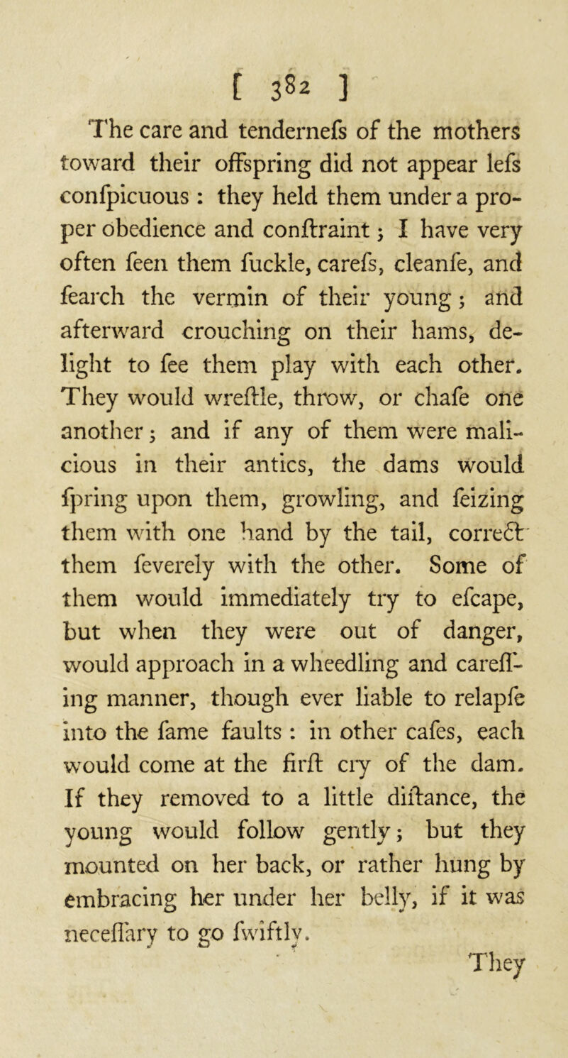 [ ] The care and tendernefs of the mothers toward their offspring did not appear lefs confpicuous : they held them under a pro- per obedience and conftraint ; I have very often feen them fuckle, carefs, cleanfe, and fearch the vermin of their young ; and afterward crouching on their hams, de- light to fee them play with each other. They would wreftle, throw, or chafe one another ; and if any of them were mali- cious in their antics, the dams would fpring upon them, growling, and feizing them with one hand by the tail, correft them feverely with the other. Some of them would immediately try to efcape, but when they were out of danger, would approach in a wheedling and carefl- ing manner, though ever liable to relapfe into the fame faults : in other cafes, each would come at the firft ciy of the dam. If they removed to a little diftance, the young would follow gently ; but they mounted on her back, or rather hung by embracing her under her belly, if it was neceflary to go fwiftlv.