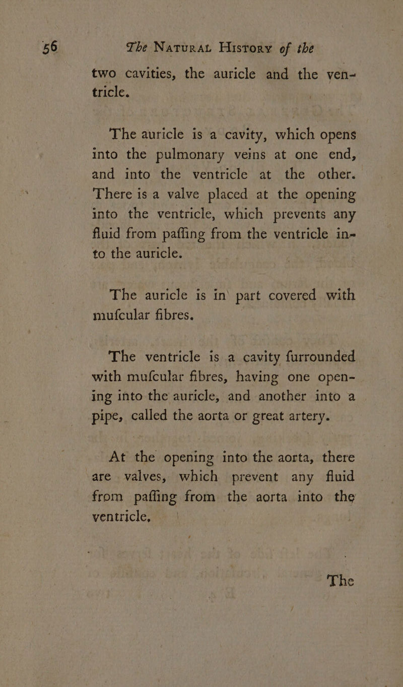 two cavities, the auricle and the ven- tricle. The auricle is a cavity, which opens into the pulmonary veins at one end, and into the ventricle at the other. There is a valve placed at the opening into the ventricle, which prevents any fluid from pafling from the ventricle in- to the auricle. The auricle is in’ part covered with mufcular fibres. The ventricle is a cavity furrounded with mufcular fibres, having one open- ing into the auricle, and another into a pipe, called the aorta or great artery. At the opening into the aorta, there from pafling from the aorta into the ventricle,