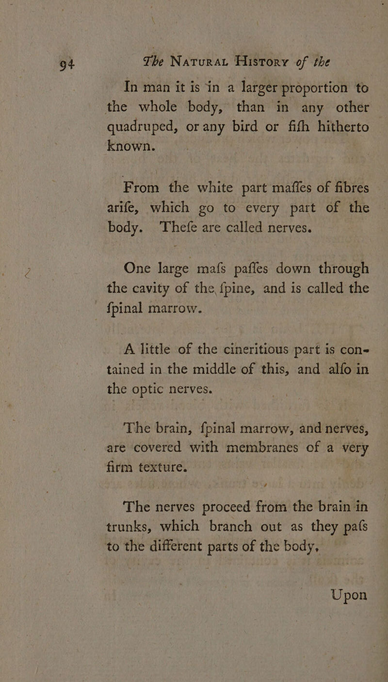 In man it is in a larger proportion to quadruped, or any bird or fith hitherto known. From the white part maffes of fibres arife, which go to every part of the body. Thefe are called nerves. One large mafs pafles down through the cavity of the {pine, and is called the A little of the cineritious part is con tained in the middle of this, and allo i in the optic nerves. The brain, fpinal marrow, and nerves, are covered with membranes of a very firm texture. The t nerves proceed from the brain in trunks, which branch out as they pats Upon