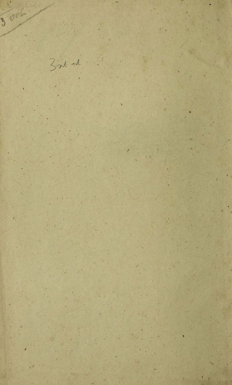 ' ' • St- » % ^ / \ J. >»