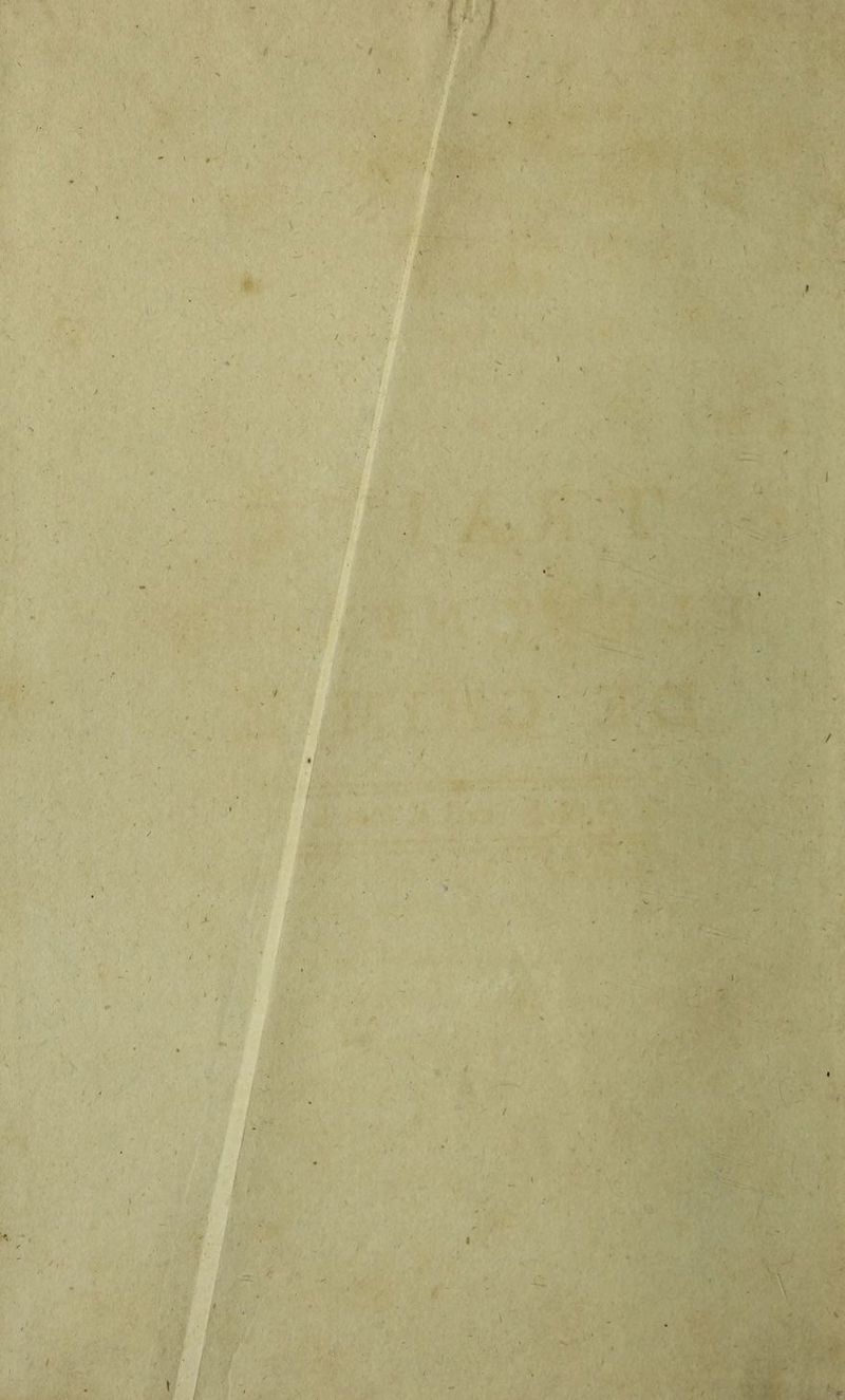 é . 1 I ' i ■ / /