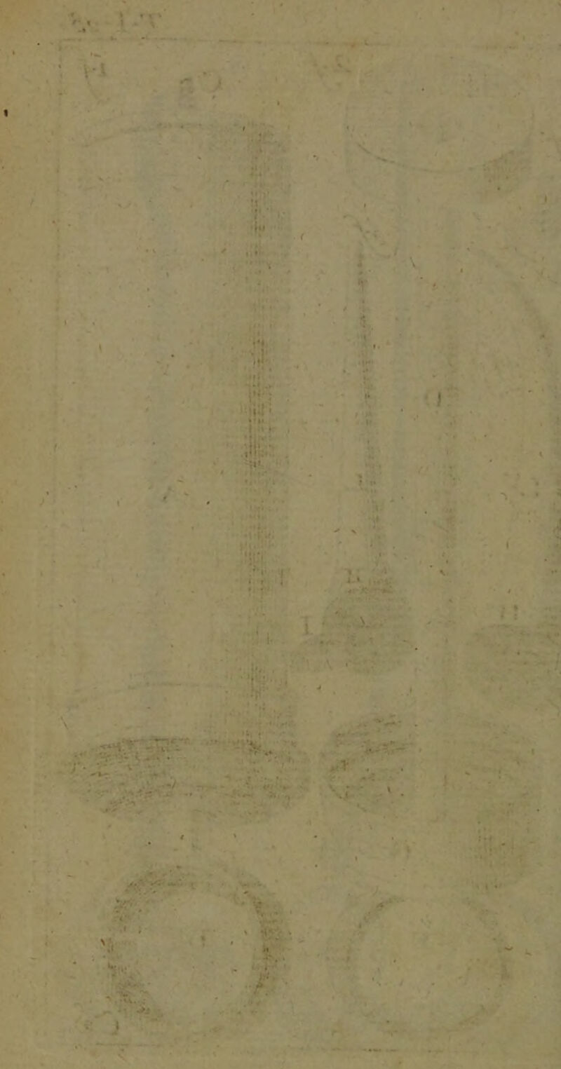 'V l*'V ■!~ -- -r vi ■ yttci 'i. 't I » i-V.' , i k i : ■). ' i. ■ '■,^Ür iir ' i;|!^ 'mW ' . \ ‘T- ' ‘If ( - pr .f . tiîiu . H»*-- ’ • • H* •ü-f-i ■’i •1 ' 'i 1,1V. s- ■i* »5' , 8 |;.^1 1. .' T- r-’ V • } •». r ■>■ . 1 V''' ' . mV . ,. ■ '-■■■. ■'• J ' • ~ y- . ^ ■ ■ iii-:.i.:’- .- .I t •'V-,. ‘ «S.'. ,ç.- - ‘‘J. ■ ■* •*, t ■rfi- à ji i '• ■ i -, y