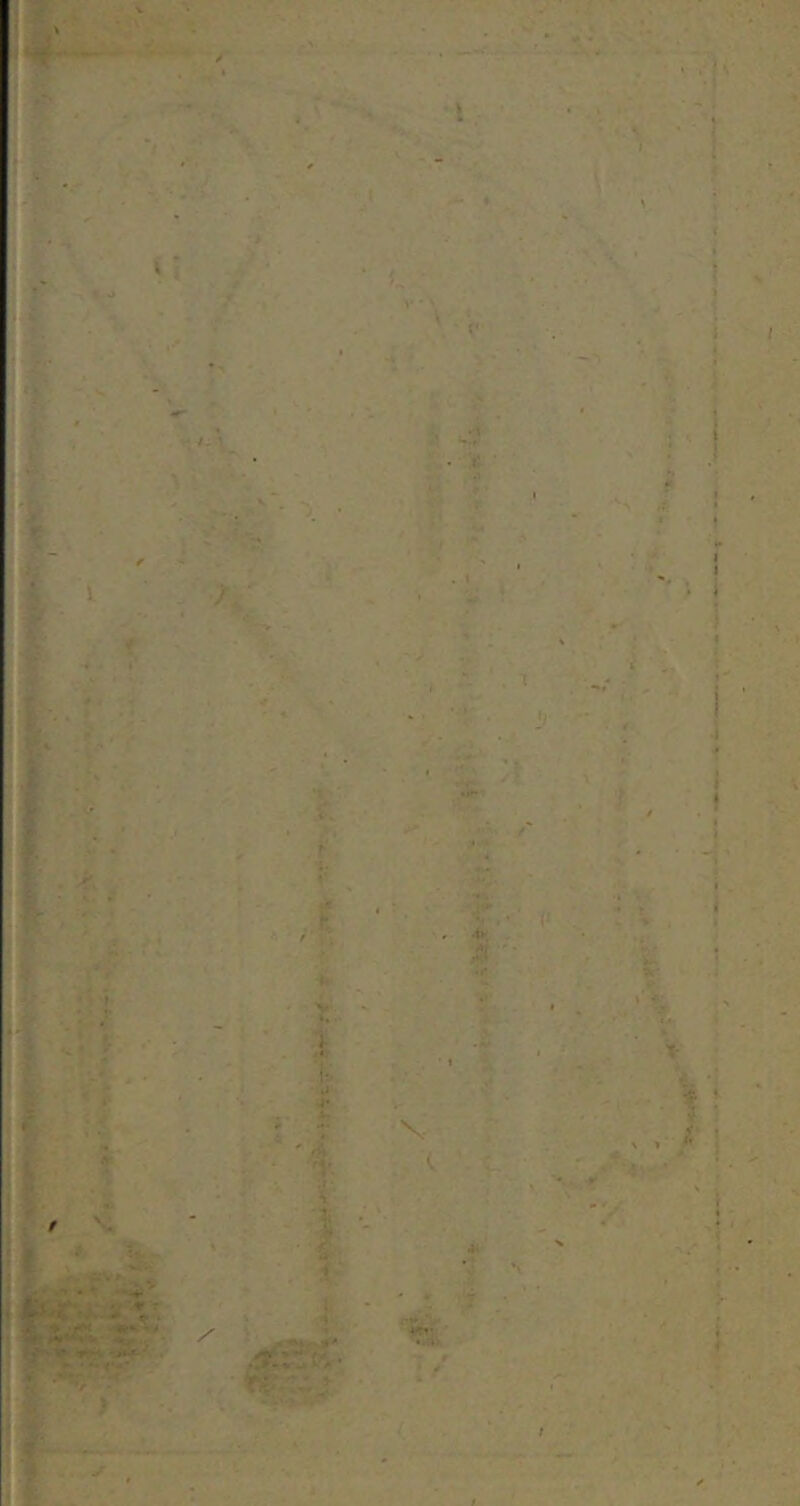 T-?: 4i ' i {/ . • I ^ /'r. ’ * ' ■ ' ' 