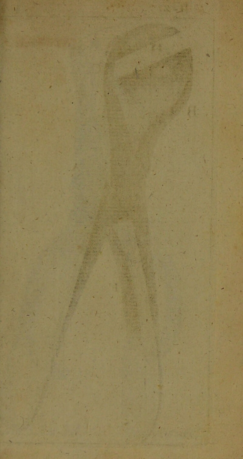 r , • A / ; > fît*--,* •#* • r K U V f<'- l. -•*£ ■r