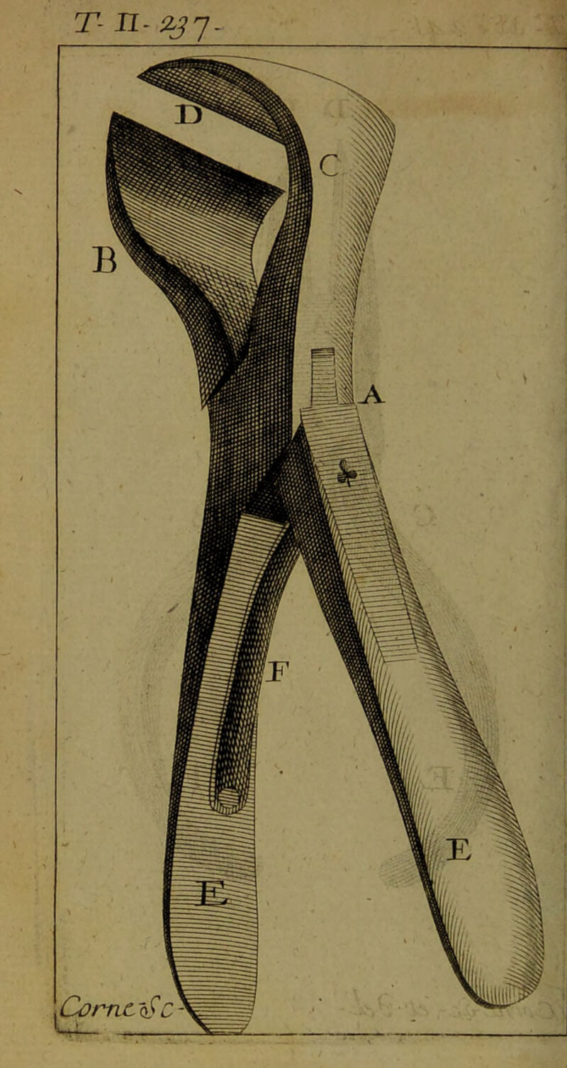 T- Jî- iLJ^. Corne Q}C