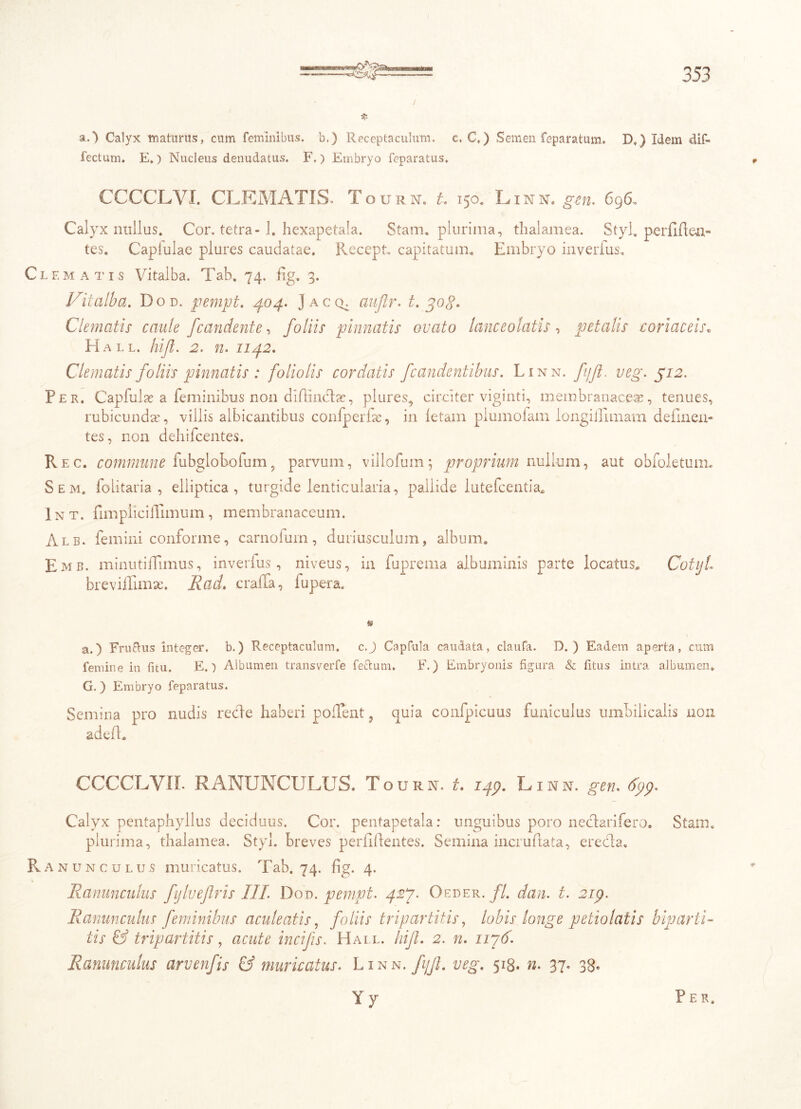 I a.) Calyx maturus, cum feminibus, b,) Receptaculum, c, C.) Semen feparatum. D.) Idem dif- fectum. E,) Nucleus denudatus. F.) Embryo feparatus, CCCCLVI. CLEMATIS. Tourn. L 150. Linn, gen. 696, Calyx nullus. Cor. tetra-1. hcxapetala. Stam. plurima, thalamea. StyR perfifien- tes. Caplulae plures caudatae. Recept. capitatum. Embryo inverius. Clematis Vitalba. Tab. 74. fig. 3. Vitalba. Dod. pempt. 404. Jaccl auflr. t. 30$. Clematis caule f'candente, foliis pinnatis ovato lanceo latis, petalis coriaceis„ RIall. hijl. 2. 72. 1142. Clematis foliis pinnatis : foliolis cordatis fcandentibus. Linn. fjft. veg. pi2. Per. Capful x a feminibus non difiindlae, plures, circiter viginti, membranaceas, tenues, rubicundas, villis albicantibus confperfae, in fetam plumofam iongiflimam defluen- tes, non dehifcentes. Rec. commune fubglohofum9 parvum, villofuin; proprium nullum, aut obfoletum, S e m. folitaria , elliptica, turgide lenticularia, pallide lutefcentia, Int. fimpiiciilimum, membranaceum. Alb. femini conforme, carnofum, duriusculum, album. Eme. minutiflimus, inverfus, niveus, in fuprema albuminis parte locatus, CotijL breviffimae. Rad. c ralla, fupera. a.) Fru&us integer, b.) Receptaculum. c.J Capfula caudata, claufa. D. ) Eadem aperta, cum femine in fitu. E.) Albumen transverfe fettum. E.) Embryonis figura & fitus intra albumen. G.) Embryo feparatus. Semina pro nudis recfle haberi pollent, quia confpicuus funiculus umbilicalis non adefL CCCCLVII. RANUNCULUS. Tourn. t. 149. Linn. gen* 6pp* Calyx pentaphyllus deciduus. Cor. pentapetala: unguibus poro neclarifero. Stam. plurima, thalamea. Styl. breves perfidentes. Semina inciuftata, erecla. Ranunculus muricatus. Tab. 74. fig. 4. Ranunculus fylveftris III Dod. pempt. 42J. Oeder. fl. dan. t. 2ip. Ranunculus feminibus aculeatis, foliis tripartitis, lobis longe petiolatis biparti- tis & tripartitis, acute incifs. Hall. hifl. 2. n. 1176'. Ranunculus arvenfis & muricatus. Linn. fijjl. veg. 518. «. 37« 38«