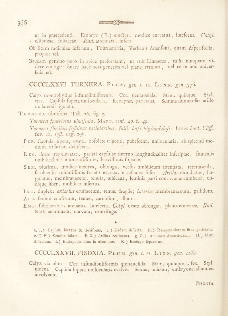 ut in praecedenti. Embryo (E.) ereftus, modice curvatus, lutefcens. Cottii. ■ ellipticae, foliaceae. Rad. attenuata, infera. Ob fitum radiculae inferum, Tournefortia, Verbenis Adanfoni, quam Afperifoliis, propior eft. Baccam gemino poro in apice perforatam, ut vult Linnaeus , mihi nunquam vi- dere contigit: quare haec nota generica vel plane erronea , vel certe non univer- falis efl. CCCCLXXVI. TURNERA. Plum, gen. t. 12. Linn. gen. 376. Calyx monophyllus infundibuliformis. Cor. pentapetala. Stam. quinque. Styl. tres. Capfula fupera uniiocularis. Receptae, parietalia. Semina numerofa: arillo unilaterali ligulato. Turnera ulmifolia. Tab. 76. fig. 3. Turnera frutefeens ulmifolia. Mart. cent. /jy. t. 49. Turnera floribus feffelibus petiolaribus, foliis bafi biglandulojis. Linn. Iwrt. Clijf. tab. 10. fjfl. veg. 296. Fer. Capfula fupera, ovata, obfolete trigona, pubefeens, uniiocularis, ab apice ad me- c dium trifariam dehilcens. Rec. lineas tres elevatae, parieti capfulae interno longitudinaliter inferiptae, funiculis umbilicalibus numerofiilimis, brevillimis Ripatae. Sem. plurima, modice incurva, oblonga, verfus umbilicum attenuata, teretiuscula, lcrobiculis minutiflimis ieriatis exarata, e caftaneo fufea. /lrillus dimidiatus, lin- gulatus, membranaceus, tenuis, albicans, feminis parti concavae accumbens, un- dique liber, umbilico infertus. Imt. duplex: exterius cruflaceum, tenue, fragile; interius membranaceum, pallidum. Alb. femini conforme, tenue, carnofum, album. Emb. fubclavatus, arcuatus, lutefcens. Cotijl. ovato oblongae, plano convexae. Rad. tereti acuminata, curvata, centrifuga. a. b.) Capfula integra & dehifcens. c. ) Eadem diiTecta. D,) Receptaculorum fitus parietalis, e. E. F.) Semina foluta. F. &.) Arillus reclinatus, g, G.) Albumen decorticatum. H.) Idem diffectum. I.) Embryonis fitus in albumine. K.) Embryo feparatus. CCCCLXXVII. PISONIA. Plum. gen. t.11. Linn. gen. 1162. Calyx vix ullus. Cor. infundibuliformis quinquefida. Stam. quinque 1. fex. StyJ. unicus. Capfula fupera uniiocularis evalvis. Semen unicum, embryone.albumen involvente. Pisonia
