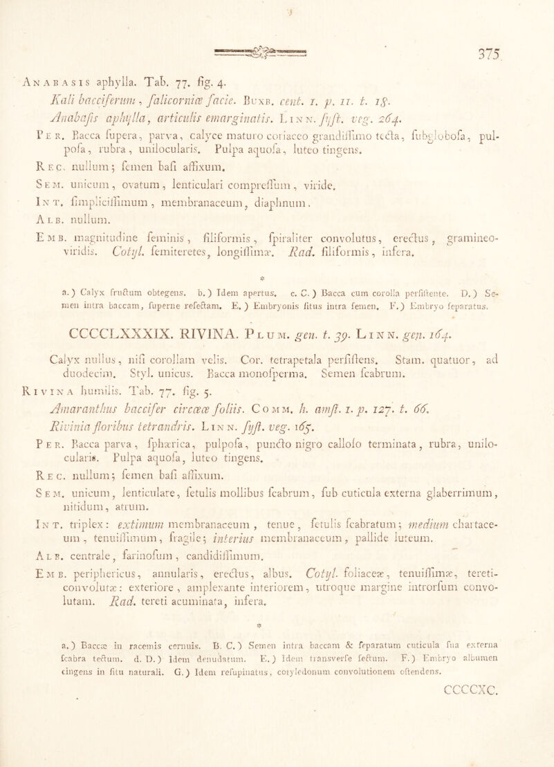 n a b a s i s aphylla. Tab. 77. fig. 4. Kali bacciferum , falicornice facie. Buxe, cent. /. //. 11. t. ig. Anabafis aphijlla, articulis emarginatis. L1 n n. J\jft. veg. 264. Per. Racca fupera, parva, calyce maturo coriaceo grandiffimo tccfla, fubglobofa, pul- pofa, rubra, unilocularis. Pulpa aquofa, luteo tingens. Rec, nullum5 femen bafi affixum. Sem. unicum, ovatum, lenticulari compreflum, viride. Int. limpliciilimum , membranaceum, diaphnum. Alb. nullum. Emb. magnitudine feminis, filiformis, fpiraliter convolutus, erectus, gramineo- viridis. CotijL femiteretes, longiffimax Rad. filiformis, infera. h' a.) Calyx fruftum obtegens, b.) Idem apertus. c. C. ) Bacca cum corolla perfiftente. D.) Se- men intra baccam, fuperne refeftam. E.) Embryonis /itus intra femen. E.) Embryo feparatus. CCCCLXXXIX. RIV1NA. Plum. gen. t. 39. Linn. geg. 164. Calyx nullus, ni fi corollam velis. Cor. fetrapetala perfifiens. Stam. quatuor, ad duodecim. Styl. unicus. Racca monofperma. Semen fcabrum. 1 v 1 n a humilis. Tab. 77. fig. 5. Amarantlms baccifer circcece foliis. Comm. h. amfl.i.p. 127. t. 66. Riviniafloribus tetrandris. Linn. fijfl. veg. \6g. Per. Racca parva , fphacrica, pulpofa, pundlo nigro callolo terminata, rubra, unilo- eularis. pulpa aquoia, luteo tingens. Pvec. nullum; femen bafi affixum. Sem. unicum, lenticulare, fetulis mollibus fcabrum, fub cuticula externa glaberrimum, nitidum, atrum. Int. triplex: extimum membranaceum , tenue, fetulis fcabratum; medium chartace- um , tenuiilimum, fragile; interius membranaceum, pallide luteum. Alb. centrale, farinofum , candidiffimum, Emb. periphericus, annularis, ereclus, albus. Cotyl. foliaceas, tenuiffimas, tereti- convolutac: exteriore, amplexante interiorem, utroque margine introrfum convo- lutam. Rad. tereti acuminata, infera. iV V a.) Baccae in racemis cernuis. B. C. b Semen intra baccam & feparatum cuticula Tua externa fcabra te&um. d. D.) Idem denudatam. E.) Idem transverte feftum. F.) Embryo albumen cingens in fitu naturali. G.) Idem refupinatus, cotyledonum convolutionem offendens. ccccxc.