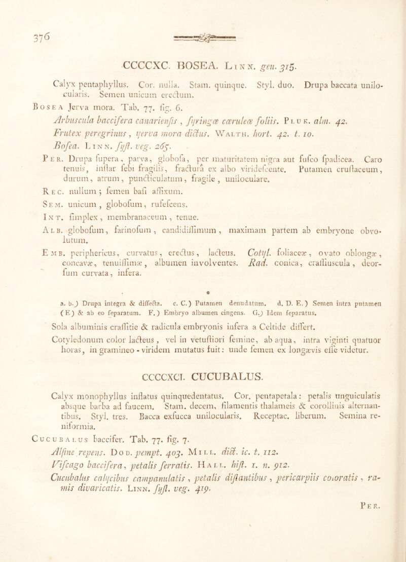 ROSEA. L i n n. gen. 315. Calyx pentaphyllus. Cor. nulla. Stam. quinque. Styl. duo. Drupa baccata unilo- cularis. Semen unicum eredum. Bosea Jerva mora. Tab. 77. fig. 6. Arbuscula baccifera canarienfis , fyringce ccerulece foliis. Pluk. alni. 42. Frutex peregrinus, yerva mora dictus. Walth. hort. 42. t. 10. Bofea. Linn. fyjl. veg. 265. Per. Drupa fu pera, parva, giobofa, per maturitatem nigra aut fufco fpadicea. Caro tenuis, inflar iebi fragilis, fractura ex albo viridefceate. Putamen crullaceum, durum, atrum , pundiculatum , fragile , uniioculare. Rec. nullum; femen bah afExum. Sem. unicum, globofum, rufefcens. Int. fimplex , membranaceum, tenue. Alb. globofum, farinofum , candidiilimum , maximam partem ab embryone obvo- lutum. Emb. periphericus, curvatus, eredus, lacteus. Cotyl. foliaceae, ovato oblongae, concavae, tenuiffimae, albumen involventes. Rad. conica, crallluscula , deor- fum curvata, infera. a. b.J Drupa integra & diffefta. c. C.) Putamen denudatum. d. D. E.) Semen intra putamen (E) & ab eo feparatum. F.) Embryo albumen cingens. G.J Idem feparatus. Sola albuminis craffitie & radicula embryonis infera a Celtide differt. Cotyledonum color ladeus, vel in vetuftiori femine, ab aqua, intra viginti quatuor horas, in gramineo - viridem mutatus fuit: unde lemen ex longsevis effe videtur. CCCCXCT. CUCUBALUS. Calyx monophyllus inflatus quinquedentatus. Cor. pentapetala: petalis tinguiculatis absque barba ad faucem. Stam. decem, filamentis thalameis & corolliuis alternan- tibus. Styl. tres. Bacca exfucca unilocularis. Receptae, liberum. Semina re- niformia. Cucubalus baccifer. Tab. 77. fig. 7. AI fine repens. Do d. pempt. 403. Mill. di Ei. ic. t. 112. Vifcago baccifera, petalis ferratis. Hale. hijl. 1. n. 912. Cucubalus calycibus campanulatis , petalis dif antibus , pericarpiis coioratis , ra- mis divaricatis. Linn. fijfl. veg. 419* Per.