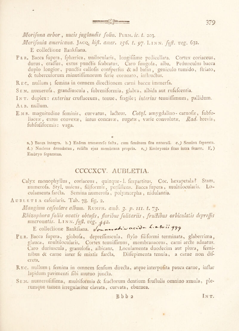 Morifona arbor, nucis juglandis folio. Flum. ic. t. 203. Morifonia americana. Jacce hijl. amer. 156. t. pp. Linn. fijjl. veg. 632. E collecdione Bankfiana. Per. Bacca fupera, fphaerica, imilocuiaris, longiffime pccliccllafa. Cortex coriaceus, durus, crailus, extus pundis fcabratus. Caro fungofa, alba. Pedunculus bacca duplo longior, pundis cailofis confperfus & ad bafin , geniculo tumido, firiato, & tuberculorum minutii!imorum lerie coronato, infirudus. Rec. nullum ; femina in omnem diredionem carni bacca: immerfa. Sem. numerofa, grandiuscula, iubreniformia, glabra, albida aut rufefcentia. Int. duplex: exterius crufiaceum, tenue, fragile; interius tenuilfimum, pallidum. Alb. nullum. Emb. magnitudine feminis, curvatus, ladeus. Cotyl. amygdalino- carnofae, fubfo- liaceac, extus convexae, intus concavae, rugatae, varie convolutae. Rad. brevis, fubfufiformis: vaga. a.) Bacca integra, b.) Eadem transverfe fecta, cum feminum fitu naturali. c.J Semina feparata. d.) Nucleus denudatus, relifta ejus membrana propria. e.J Embryonis fitus intra femen, F,) Embryo feparatus. CCCCXCV. AUBLETIA. Calyx monophyllus , coriaceus, quinque - J. fexpartitus. Cor. hexapetala? Stam. numerofa. Styl. unicus, filiformis, perfidens. Bacca iupera, multilocularis. Lo- culamenta farda. Semina numerola , polymorpha , nidulantia. Aubletia cafeolaris. Tab. 73. fig. 2. Mangium cafeolare album. Rumph. amb. 3. p. 111. t. 73. Rbizophora foliis ovatis ob tufis, floribus folitariis , frudibus orbiculatis depreffis mucronatis. Linn. fijfl. veg. E coiledione Bankfiana. , Per. Bacca fupera, globofa, deprelfiuscula, flylo filiformi terminata, glaberrima, glauca, multilocularis. Cortex tenuifiimus, membranaceus, carni arde adnatus. Caro duriuscula, granulofa, albicatis. Loculamenta duodecim aut plura, femi- nibus & carne inter fe mixtis farda. Diifepimenta tenuia, a carne non dii» creta. Rec. nullum; femina in omnem fenfum direda, atque interpofita pauca came, infiar lapidum pavimenti fibi mutuo junda. Sem. nurnerofillima, multiformia & fradorum dentium fruflulis omnino aemula, ple- rumque tamen irregulariter clavata, curvata, eburnea.