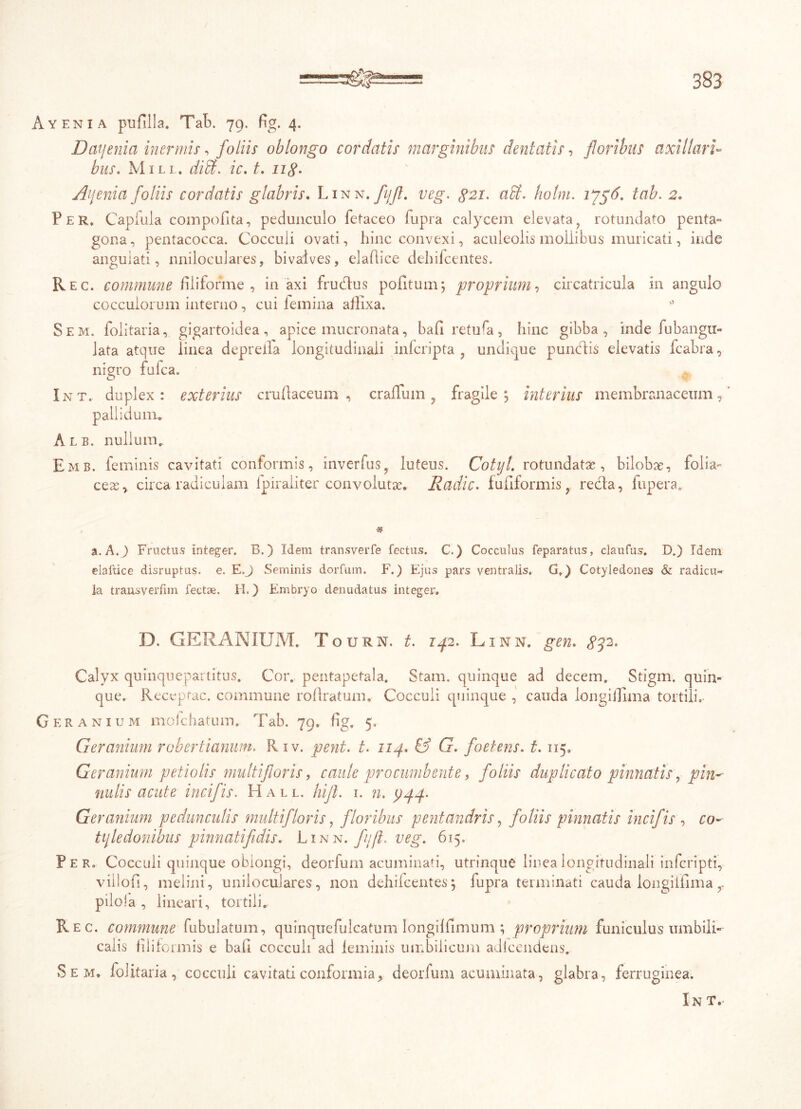 Ayenia pufilla. Tab. 79. fig. 4. Dai/enici inermis, foliis oblongo cordatis marginibus dentatis, floribus axillari*- bus. Mill. didi. ic. t. ng. Aifenia foliis cordatis glabris. Linn. fyfl. veg. $21. adi. holm. 1756. tab. 2» Per» Capiula compofita, pedunculo fetaceo fupra calycem elevata? rotundato penta- gona, pentacocca. Cocculi ovati, hinc convexi, aculeolis mollibus muricati, inde angulati, nniloculares, bivaives, elaflice dehifcentes. Rec. commune filiforme , in axi frudtus politum; proprium, circatricula in angulo cocculorum interno, cui femina affixa. Sem. folitaria, gigartoidea, apice mucronata, bafi retiffia, hinc gibba, inde fubangu- lata atque linea deprelfa longitudinali infcripta , undique pundlis elevatis fcabra, nigro fufca. Int. duplex: exterius crullaceum , craffinn 9 fragile; interius membranaceum,' pallidum. Alb. nullum. Emb. feminis cavitati conformis, inverfus, luteus. Cotyt. rotundatae, bilobae, folia- ceae, circa radiculam fpiraliter convolutae. Radie. fufiformis 9 redfa, fupera. a. A.) Fructus integer. B.) Idem transverfe fectus. C.) Cocculus feparatus, claufus. D.) Idem elaltice disruptus. e. E.J Seminis dorfum. F.) Ejus pars ventralis. G.) Cotyledones & radicu- la transyerfim lectae. H.) Embryo denudatus integer. D. GERANIUM. Tourn. t. 142. Linn. gen. <?J2. Calyx quinquepartitus. Cor. pentapetala. Stam. quinque ad decem. Stigm. quin- que. Receptae, commune roftratum. Cocculi quinque , cauda longiffima tortili, Gkranium mcichatum. Tab. 79. fig. 5, Geranium robertianum. Riv. peni. t. 114. & G. foetens. 1.115. Geranium petiolis multifloris, caule procumbente, foliis duplicato pinnatis, pin- nulis acute incifis. Hall. hifl. 1. n. <444* Geranium pedunculis multifloris, floribus pentandris, foliis pinnatis incifis , co- tyledonibus pinnatifidis. Linn. fjfl. veg. 615. Per. Cocculi quinque oblongi, deorfum acuminati, utrinque linea longitudinali inferipti, viilofi, melini, uniloculares, non dehiicentes; fupra terminati cauda longiffima r pilola , lineari, tortili. Rec. commune Tubulatum, quinquefulcatum longililmum ; proprium funiculus umbili- calis filiformis e bafi cocculi ad ieminis umbilicum adlcendens. Sem, folitaria, cocculi cavitati conformia, deorfum acuminata, glabra, ferruginea.