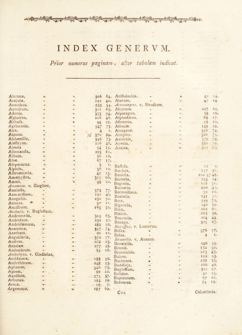 -Jh&kzd4:- is s«Hr“ Tv^iFr —'s*pr —-ivr^T- -'~V>: v, -r INDEX GENERVM. Prior numerus paginam, alter tabulam indicat. Abrorna* a «s 306 64. Acajuba. m 192 40. Acanthus. ■» w 253 54- Aconitum. Cffl «3 3*1 65» Adonis. a» ^3» 355 74» iEgiceras. «3 - 216 46. TEthufa. «H 94 22. Agrimonia. «J 347 73- Aira. 4 1. Aizoon. a® m 7^ 370 76- Alchemilla. 346 73' Alettryon. «a «i 216 46. Aletris ■ 54 15» Alia manda* m m 293 6i. Allium. m m 56 16. Aloe. St ca 67 17» Alopecurus. a» - 2 1. Alpinia. w - 36 12. Alllroemeria. - 41 13* Amethyftea. » «* 315 66. Amnii. « » 98 22. Amomum, v. Zingiber. Anabafis. • 374 7 7* Anacardium. - 191 40. Anagallis. - M 230 50. Anatias. ** m - 3° 11. Anciftrum. oa m 163 32» Anchufa, v. Bugloffum. Andromeda. am n 304 63» Androface. « 232 50. Androfaemum ♦ * 282 59» Anemone. • «3 357 74- Anethum. - M 9i 21. Anguillaria* •m a 372 77- Anilum. - ao icz 23* Antelaea. m os 277 58* Anthericum. *» * 55 16. Anthohjza. v. Gladiolus* Antidesma. as « 188 39» Antirrhinum. O0 248 53» Aphanes. «* R 346 73» Apium. «• « 99 22. Aquilicia. 8« SE5 275 57- Arbutus. 30 » 284 59* Areca. SQ ^ ** 29 7- Argemone* sst 8C- 287 6o. Ariftolochia. «X * 45 . 14. Alarum. 47 14. Artocarpus. v, Alcyrum. Sitodium. O 297 62. Alparagus. - «3 58 16. Alphodelus. - CJ .6g 17- Aftrantia. m ca 78 20. Athecia. •e» «=5 141 28. Atragene. . = 356 74' Atriplex. «» CO 361 75* Aubletia, m ■e 379 78. A y enia. 3.82 79. Azalea. e • * «• «4 63, Bachis. « c 22 9. B*ckea„ C3 157 3'* Banklia. 220 4748. Barleria. «w 253 54’ Begonia. * 0 • 156 31. Berberis. <& 200 42. Bermudiana, Ci 32 11. Besleria. <35 241 5-» Beta. 359 75* Bignonia» •e* 240 52, Bixa. •■a 292 6t. Blairia. -■ 265 56* Bocconia» 0 204 44. Borago. «c? 323 67, Boraffus. y. Lontarus* BoEea. *» «e 376 77» Briza. 4 1. Bromelia. v. Ananas. Browallia. 246 53- Brunia. «D 152 30. Brunnichia. D 213 45. Bubon. ea 102 23. Buchnera. * ee 259 55* Buddleja. mi 226 49. Bugloffum* » 322 67' Bulbine. - 41 13» Bupleurum. «1 97 22» Butomus» * * 'A 74 J9* ' r vW Calceolaria.