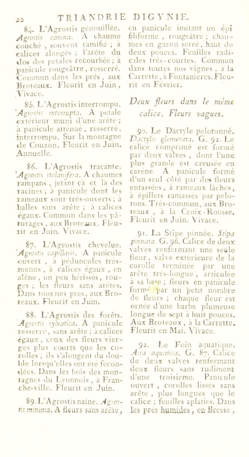 84. L’Agrostis genouillée. Agrostis canina. A chaume couché , souvent ramifié ; à calices alongés ; 1 arête clu tlo6 des pela les recourbée; à panicule rougeâtre, resserré. Commun dans les prés, aux Broteaux. Fleurit en Juin, Vivace. 8fi. L’Agrostis interrompu. 'Agrosus inrcrmpta. A petale extérieur muni d’une arête ; à panicule atténué, resserré, interrompu. Sur la montagne tle Coupon. Fleurit en Juin. Annuelle. 86. L’Agrostis traçante. 'Agrostis stolanifera. A chaumes rampans , jetant çà et là des racines ; à panicule dont les rameaux sont très-ouverts ; à balles sans arête ; à calices égaux. Commun dans les pâ- turages , aux Broteaux. Fleu- rit en Juin. Vivace. 87. L’Agrostis chevelue. Agrostis capillaris. A panicule ouvert , à péduncules très- menus , à calices égaux , en alêne, un peu hérissés, rou- ges ; les fleurs sans arêtes. Dans tous nos prés, aux Bro- teaux. Fleurit en Juin. 88. L’Agrosris des forêts. Agrostis syhatica. A panicule resserré, sans arête ; à calices égaux , cenx des fleurs vier- ges plus courts que les co- rolles ; ils s’alongent du dou- ble lorsqu’elles ont été fécon- dées. Dans les bois des mon- tagnes du Lyonnois, à Fran- ehe-ville. Fleurit en Juin. 89. L’Agrostis naine. Agros- tis minitna. A fleurs sans arête, en panicule imitant un épi filiforme , rougeâtre ; chau- mes en gazon serré, haut de deux pouces. Feuilles radi- cales très-courtes. Commun dans toutes nos vignes , à la Carrette, à Fontanieres. Fleu- rit en Février. Deux fleurs dans le même calice. Fleurs vagues. 90. Le Dactyle pelotonné. Dactylis glomerata. G. 92. Le calice comprimé est formé par deux valves , dont l’une plus grande est creusée en carène. A panicule formé d’un seul côté par des fleurs entassées, à rameaux lâches, à épillets ramassés par pelo- tons. Très-commun, aux Bro- teaux , à la Croix - Rousse. Fleurit en Juin. Vivace. 91. La Stipe pinnée. Sripj pianota. G. 96- Calice de deux salves renfermant une seule fleur, valve extérieure de la corolle terminée par une arête très-longue , articulée à sa bace ; fleurs en panicule fornC par un petit nombre de fleurs ; chaque fleur est ornée d’une barbe plumeuse longue de sept à huit pouces. Aux Broteaux, à la Carrette. Fleurit en Mai. Vivace. 92. Le Foin aquatique. Aira aquatica. G. 87. Calice de deux valves renfermant deux fleurs sans rudiment d’une troisième. Panicule ouvert , corolles lisses sans arête , plus longues que le calice ; feuilles aplaties. Dans les prés humides, eu Bresse,